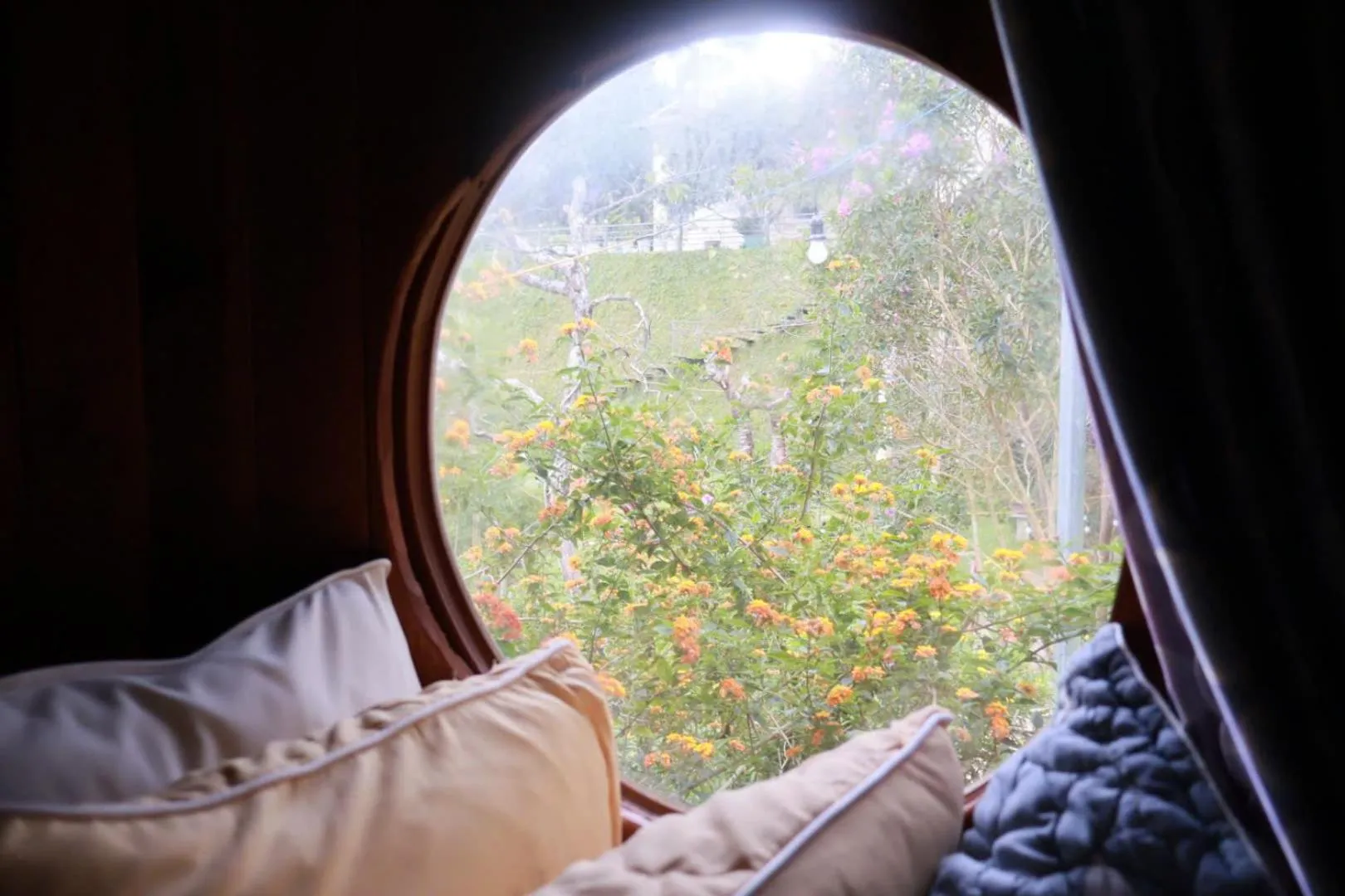 Natural landscape, Bed in Otel Hotel Dalat