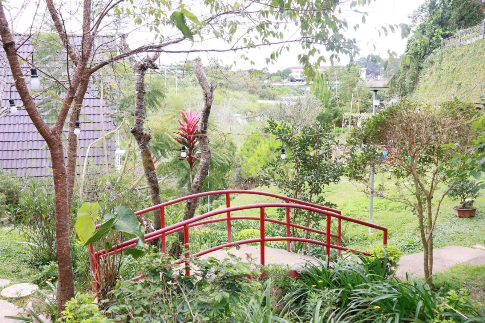 Natural landscape in Otel Hotel Dalat