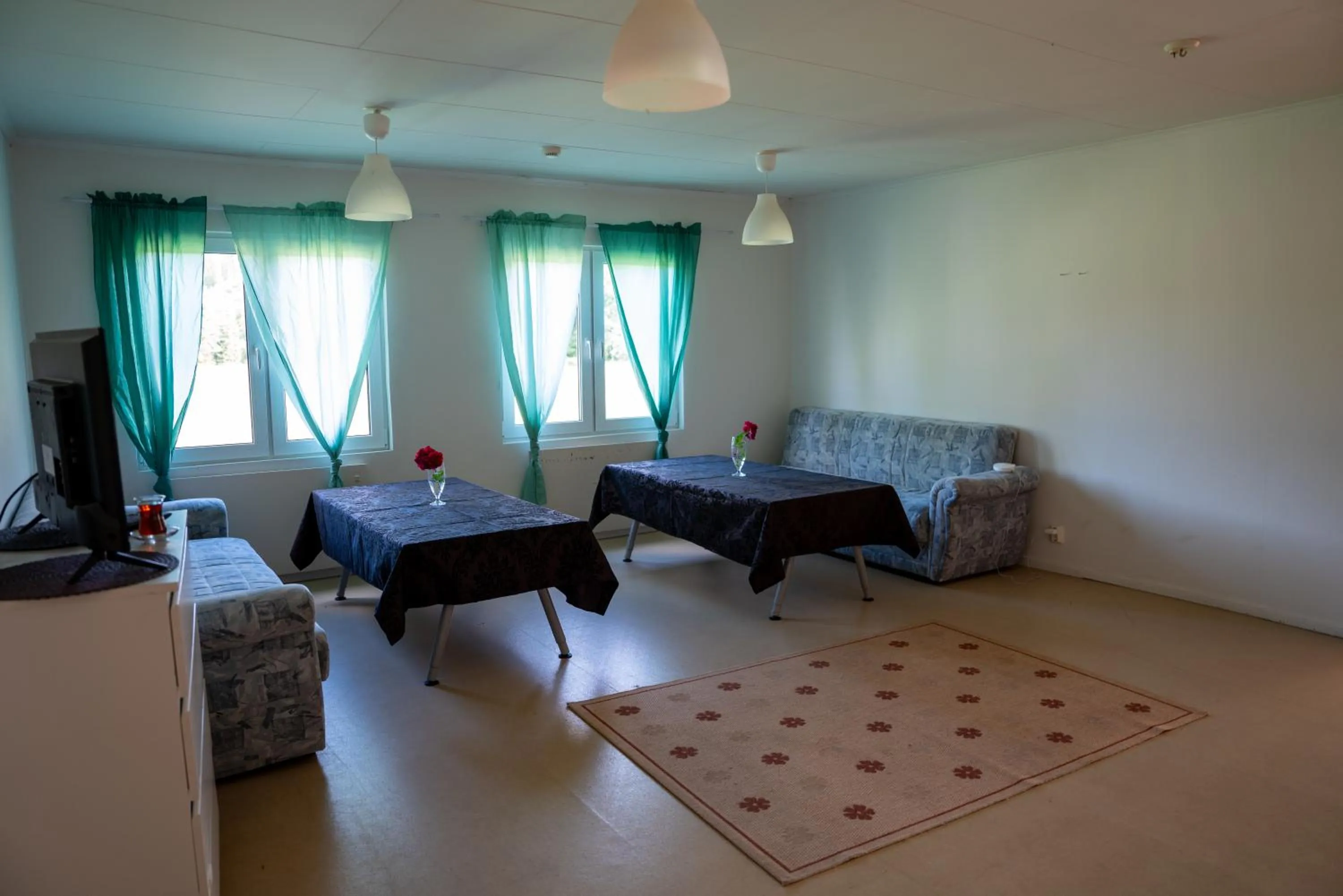 TV and multimedia in Hässlebogården Turist & Konferens