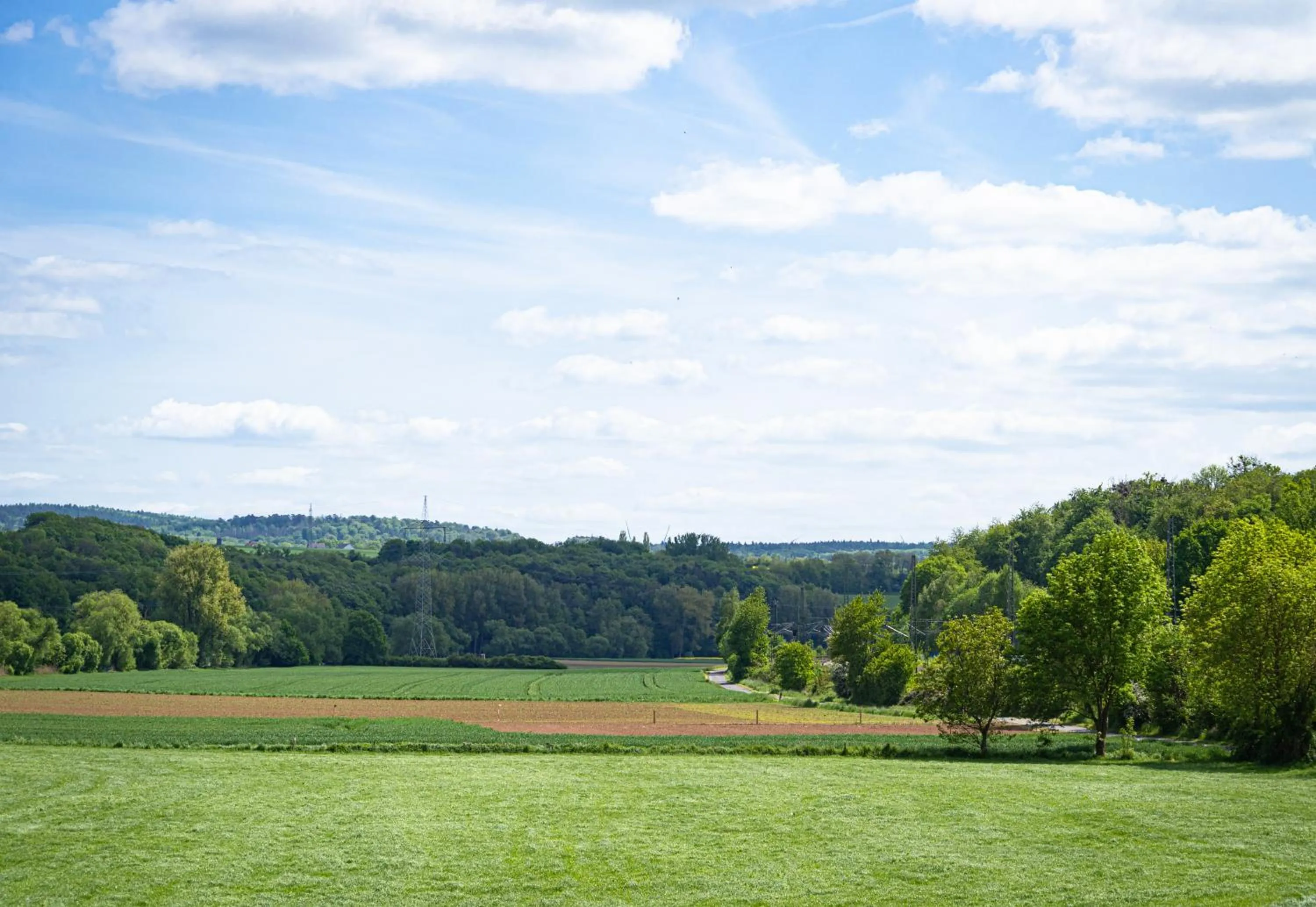 View (from property/room) in Pension Zur Mühle