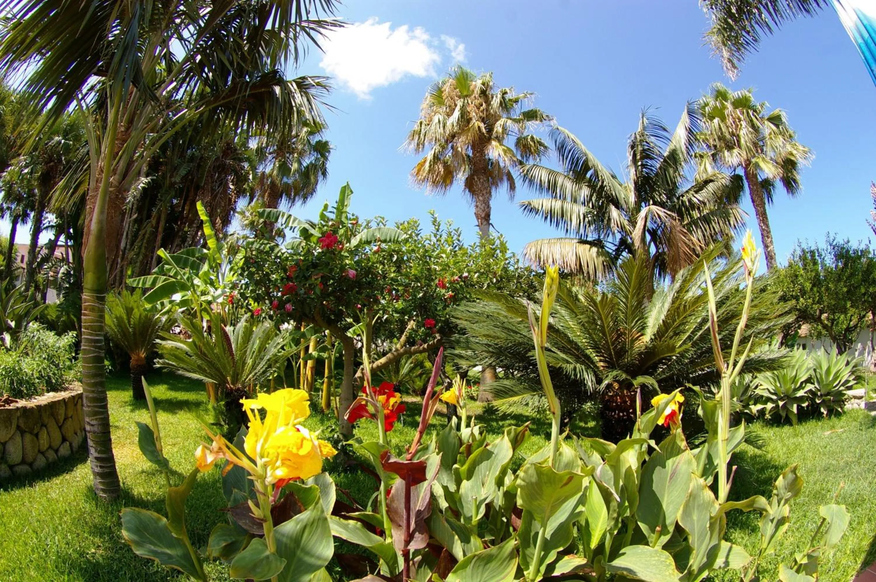 Garden in Hotel Residence Costa Azzurra