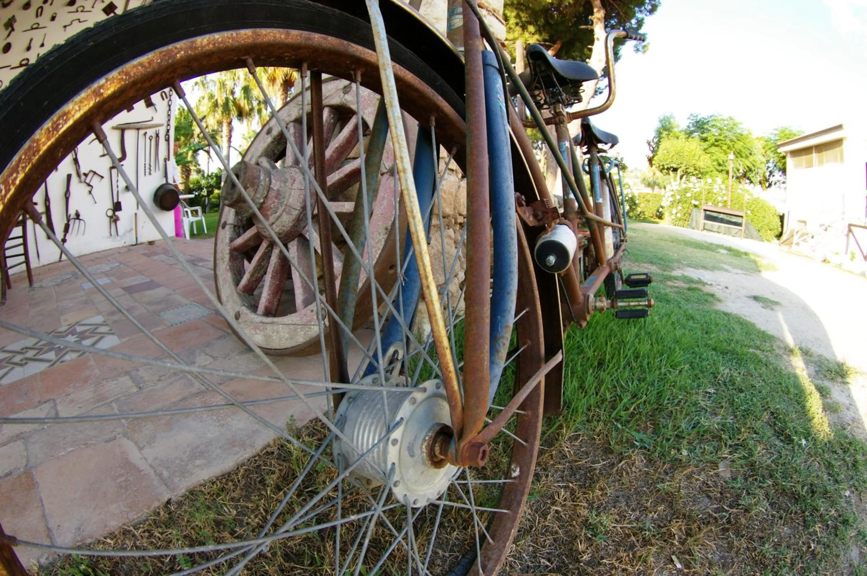 Decorative detail in Hotel Residence Costa Azzurra