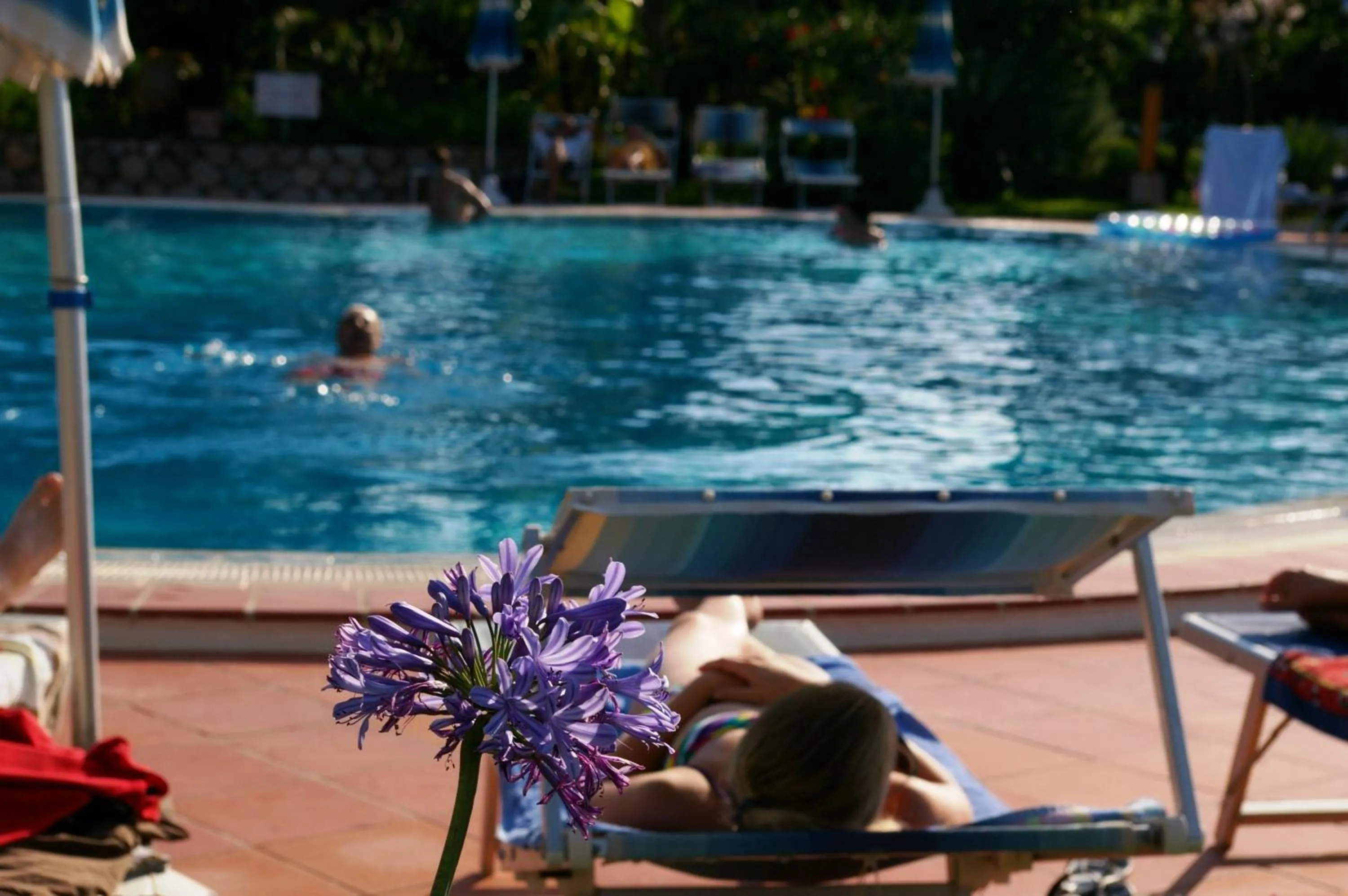 Pool view in Hotel Residence Costa Azzurra