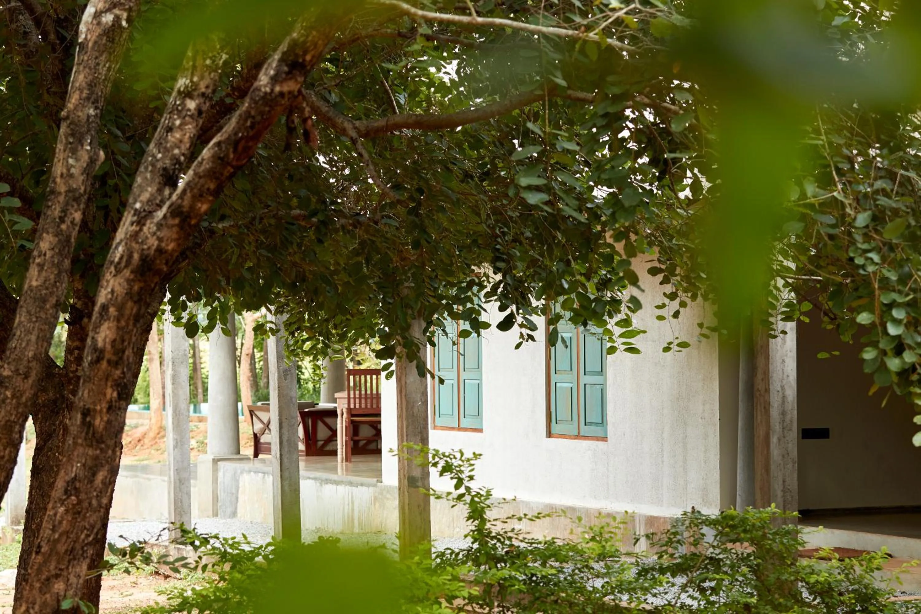 Garden view in Sevanagama