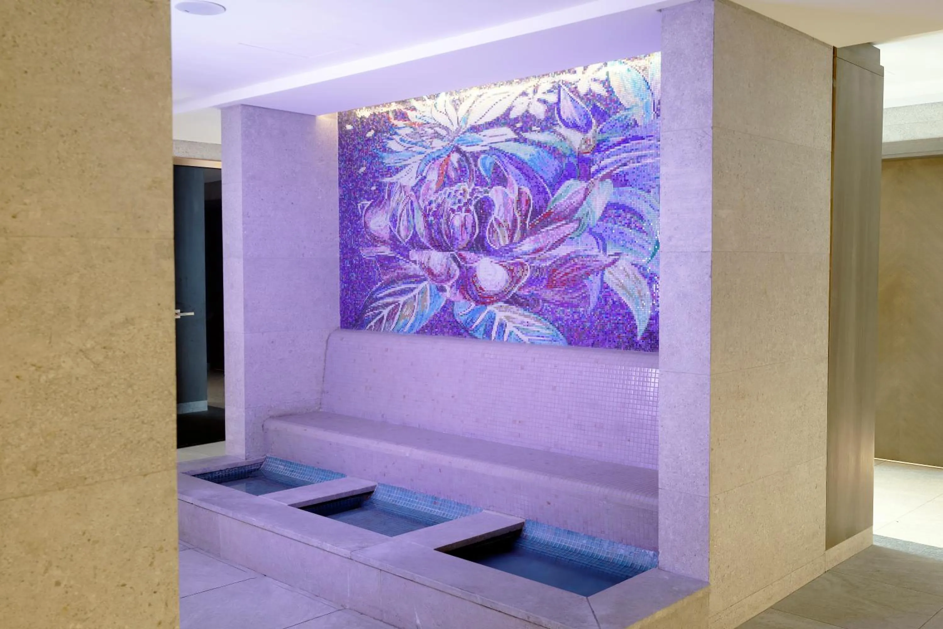 Spa and wellness centre/facilities in Babylon Rotana Hotel