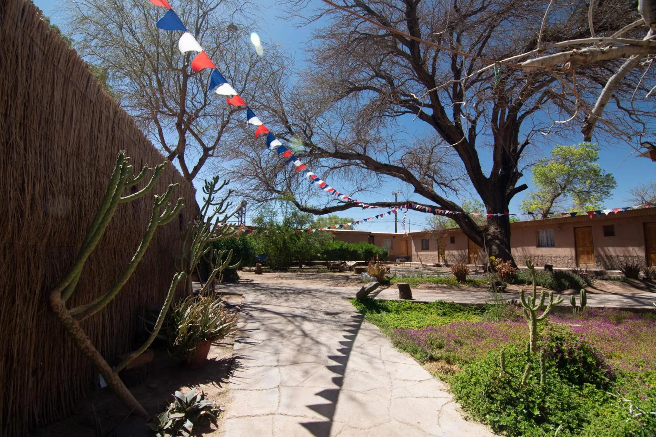 Garden in Inti & Killa Hostal