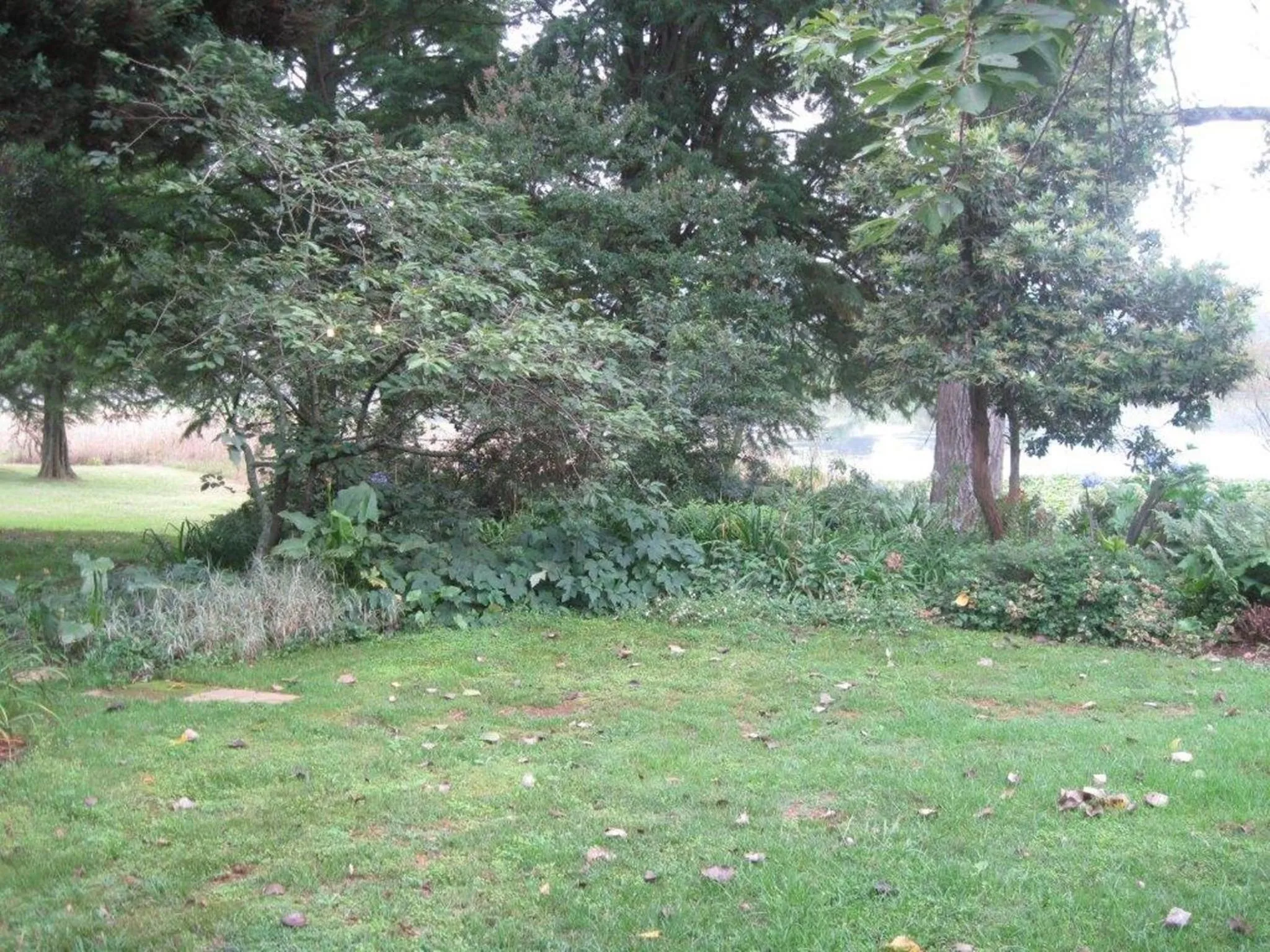 Garden view in Beacon Vlei Guest farm