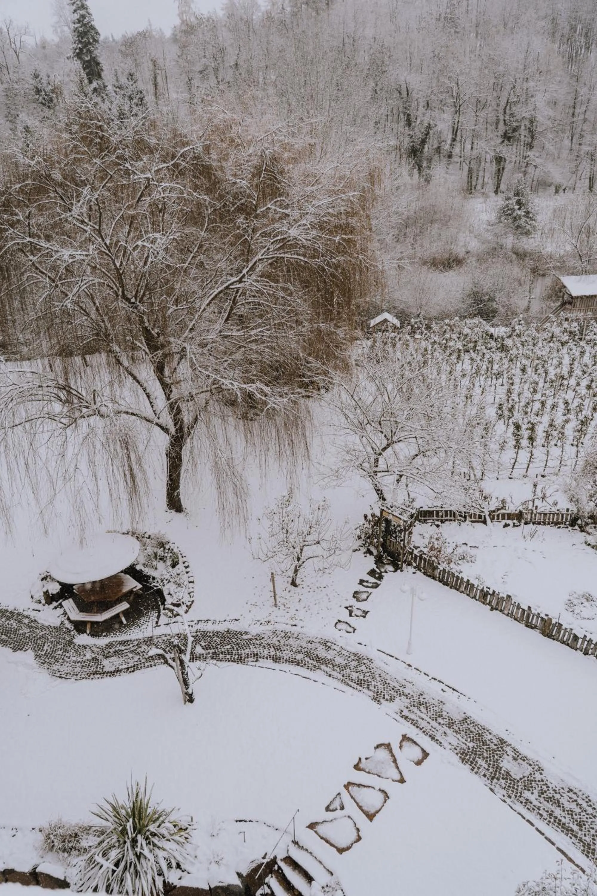 Winter in Gartenhotel Moser