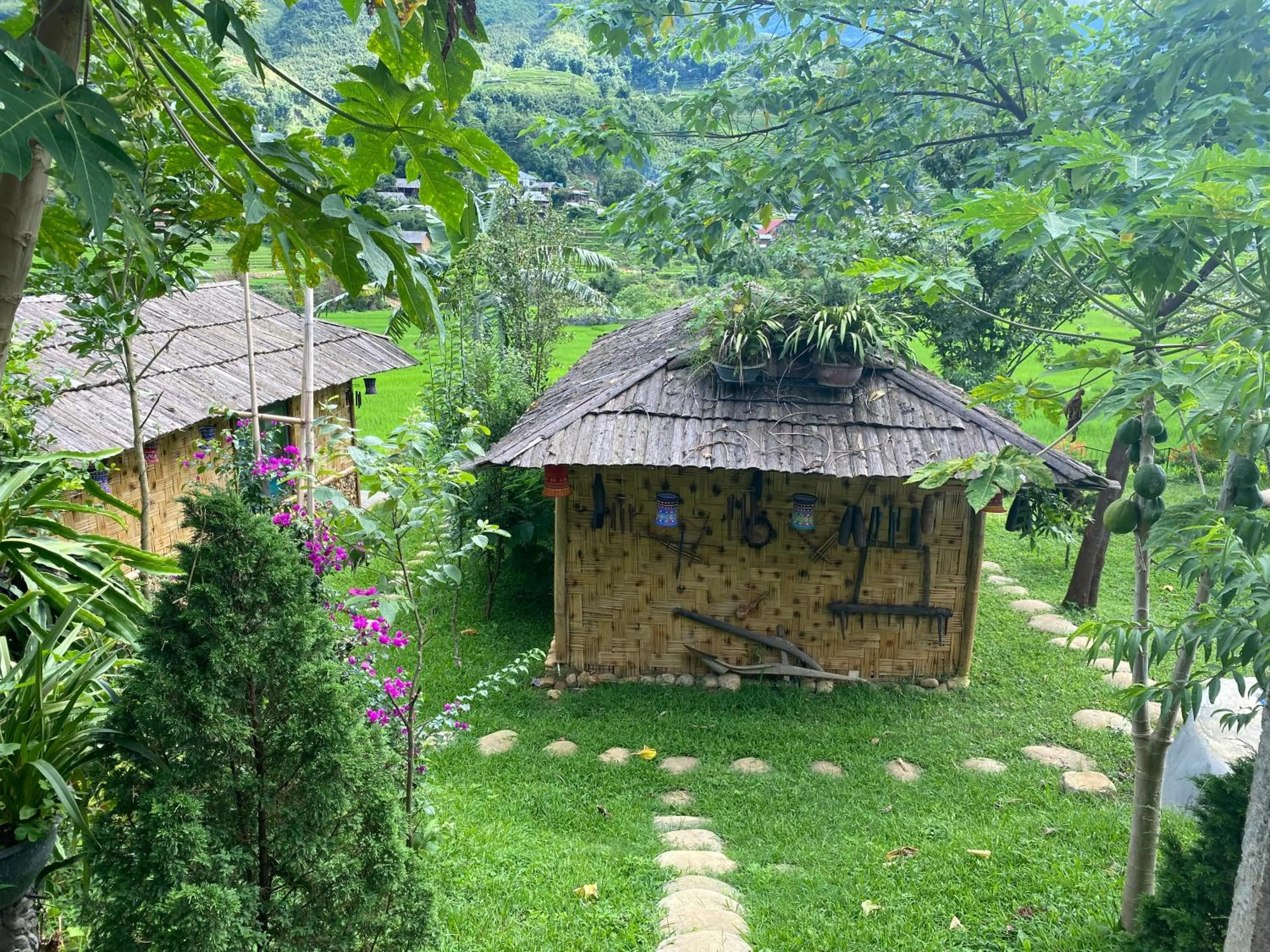 Property building in Sapa Bamboo Eco