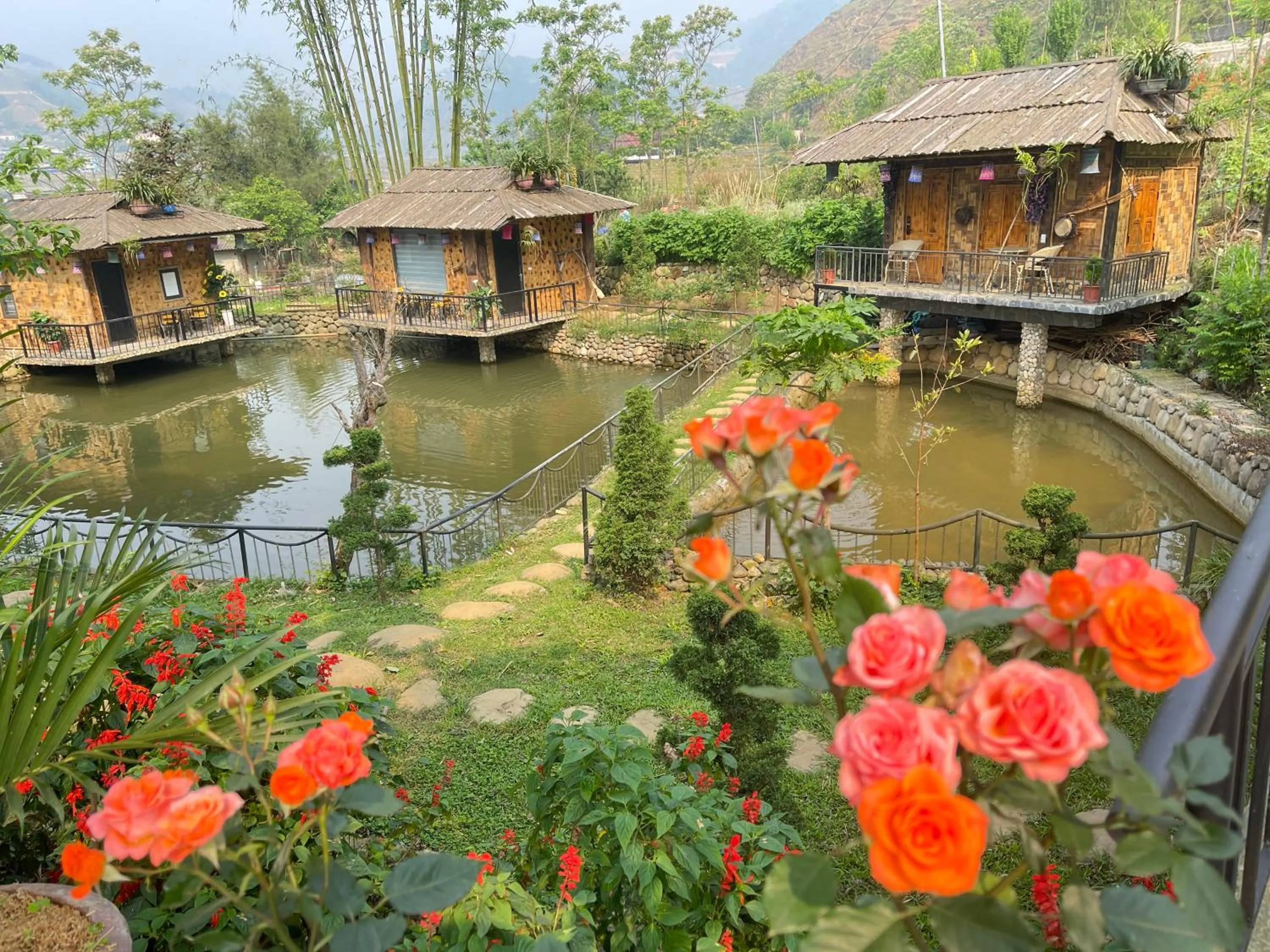 Property building in Sapa Bamboo Eco