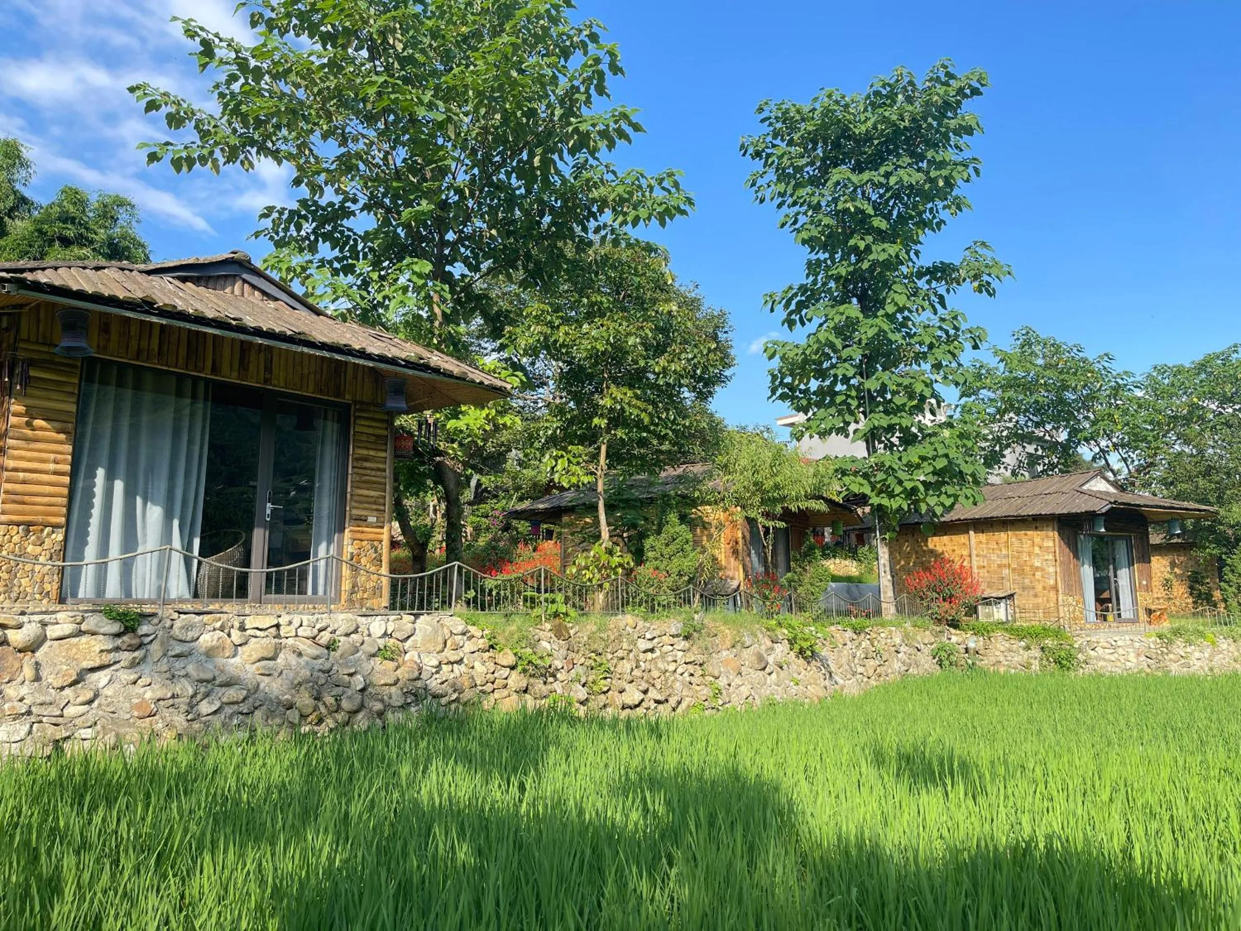 Natural landscape in Sapa Bamboo Eco