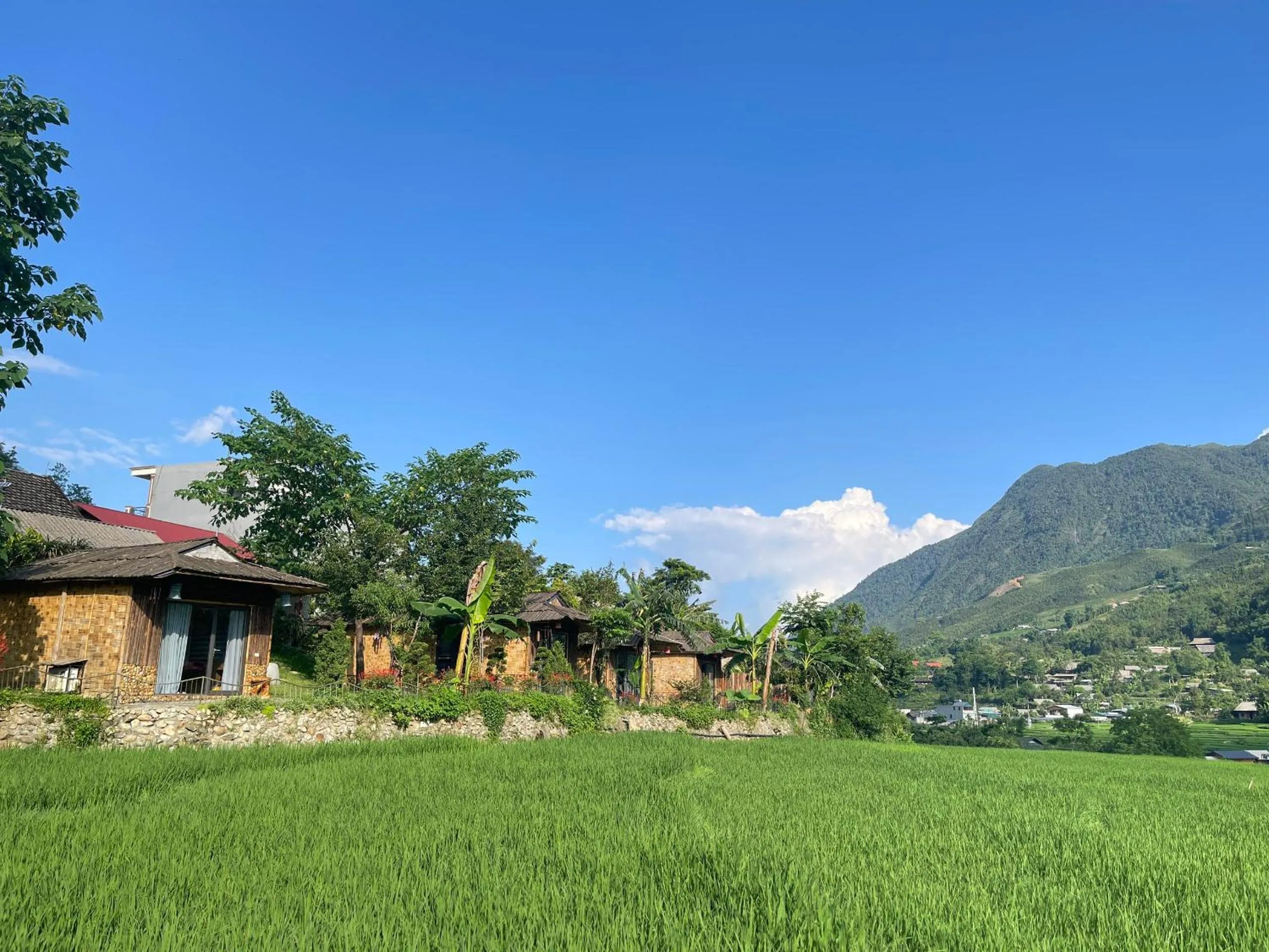 Mountain view in Sapa Bamboo Eco