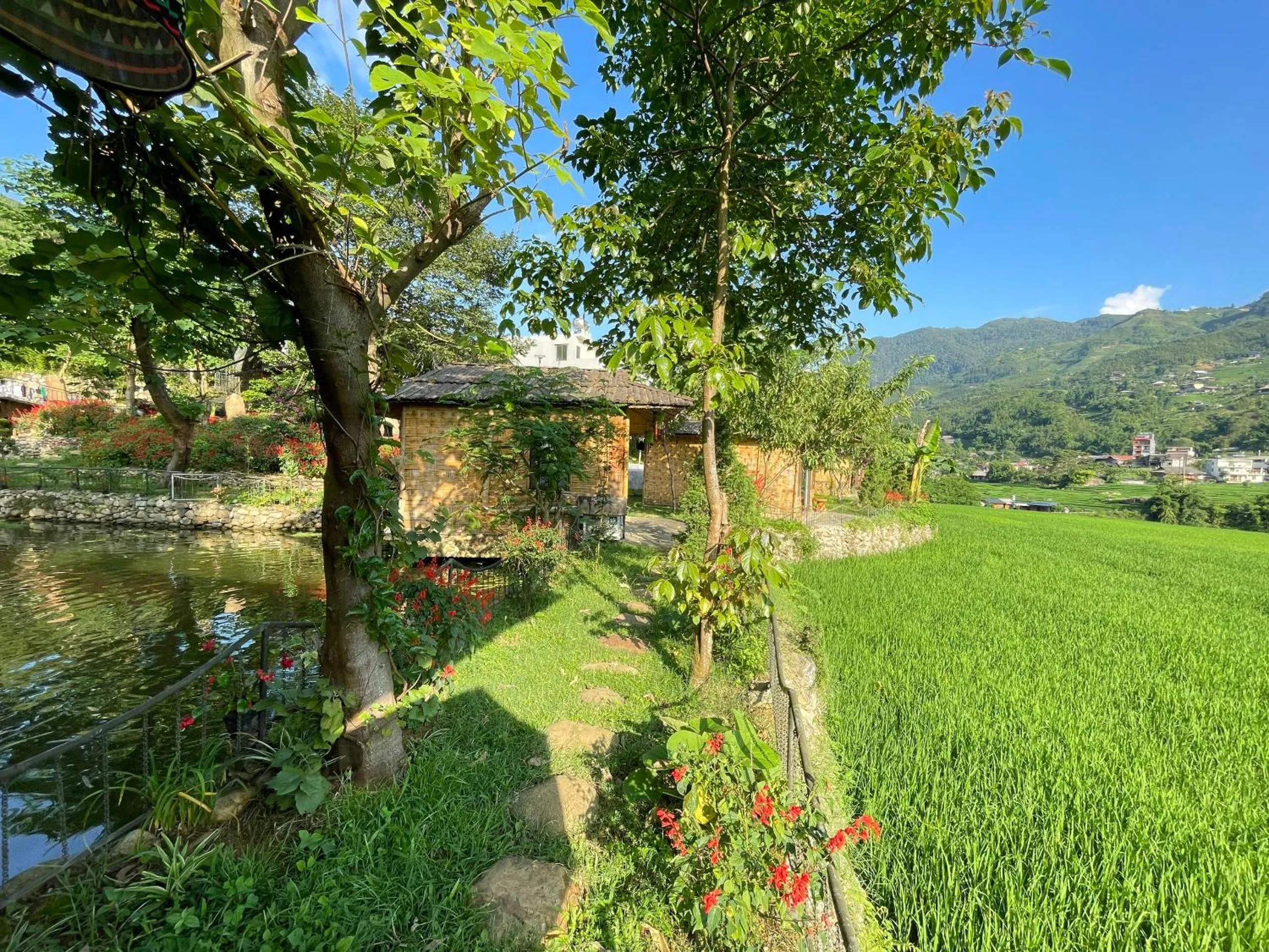 Natural landscape in Sapa Bamboo Eco