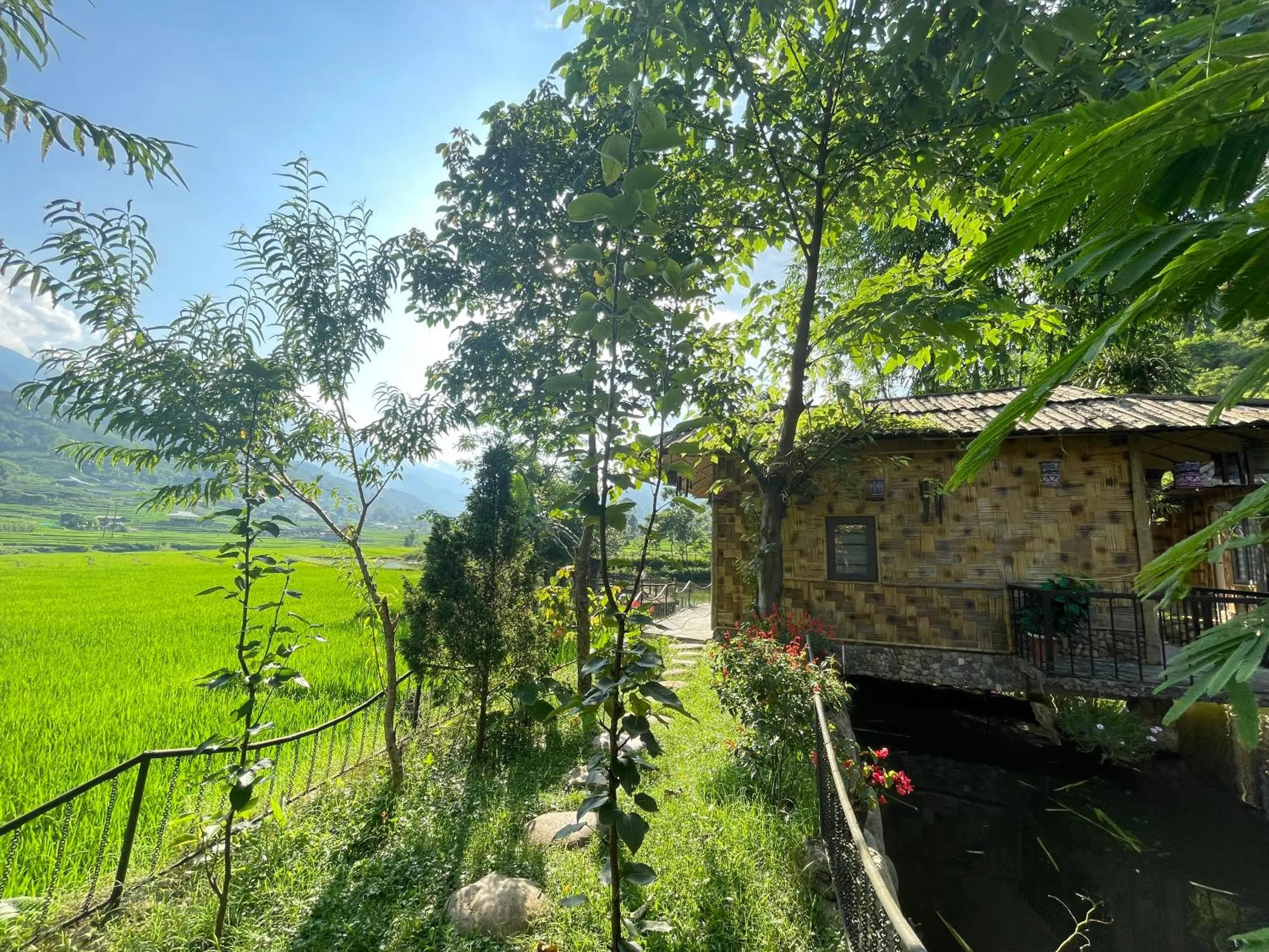 Natural landscape in Sapa Bamboo Eco