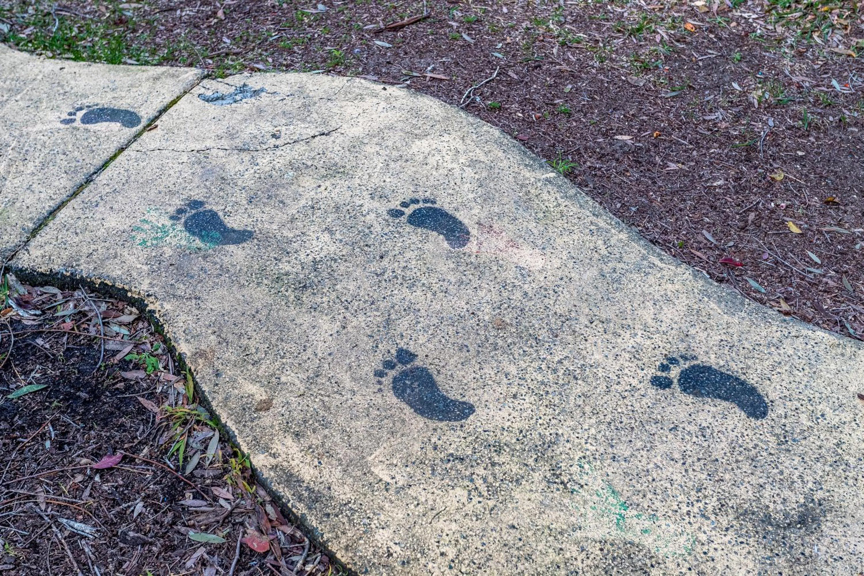 Activities in Ingenia Holidays One Mile Beach