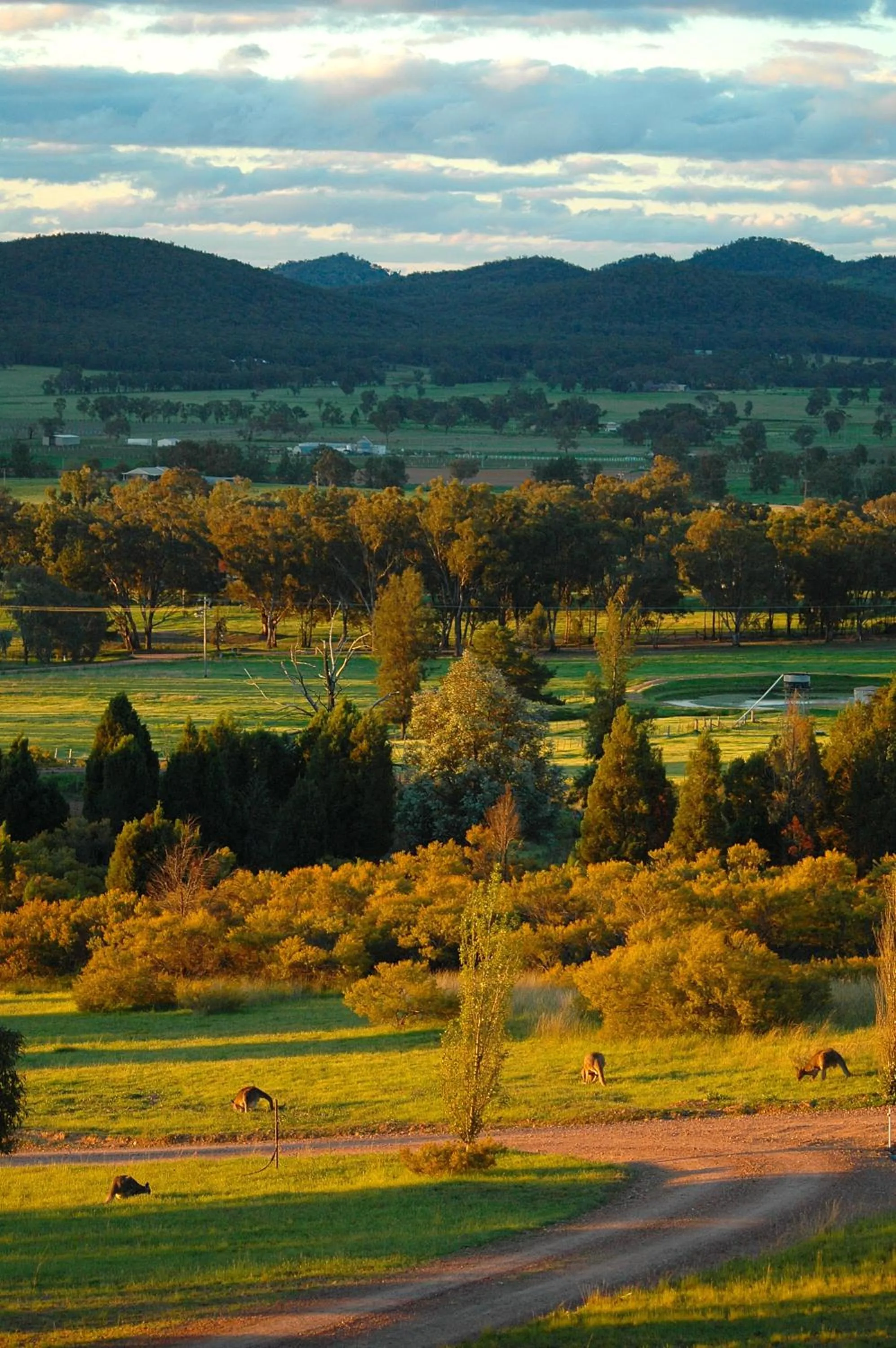 Natural landscape in Mudgee Homestead Guesthouse