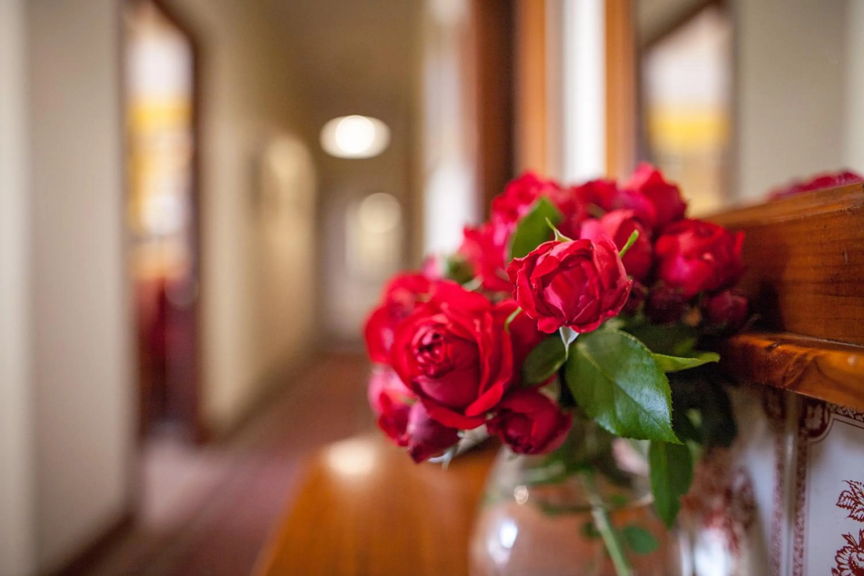 Area and facilities in Mudgee Homestead Guesthouse