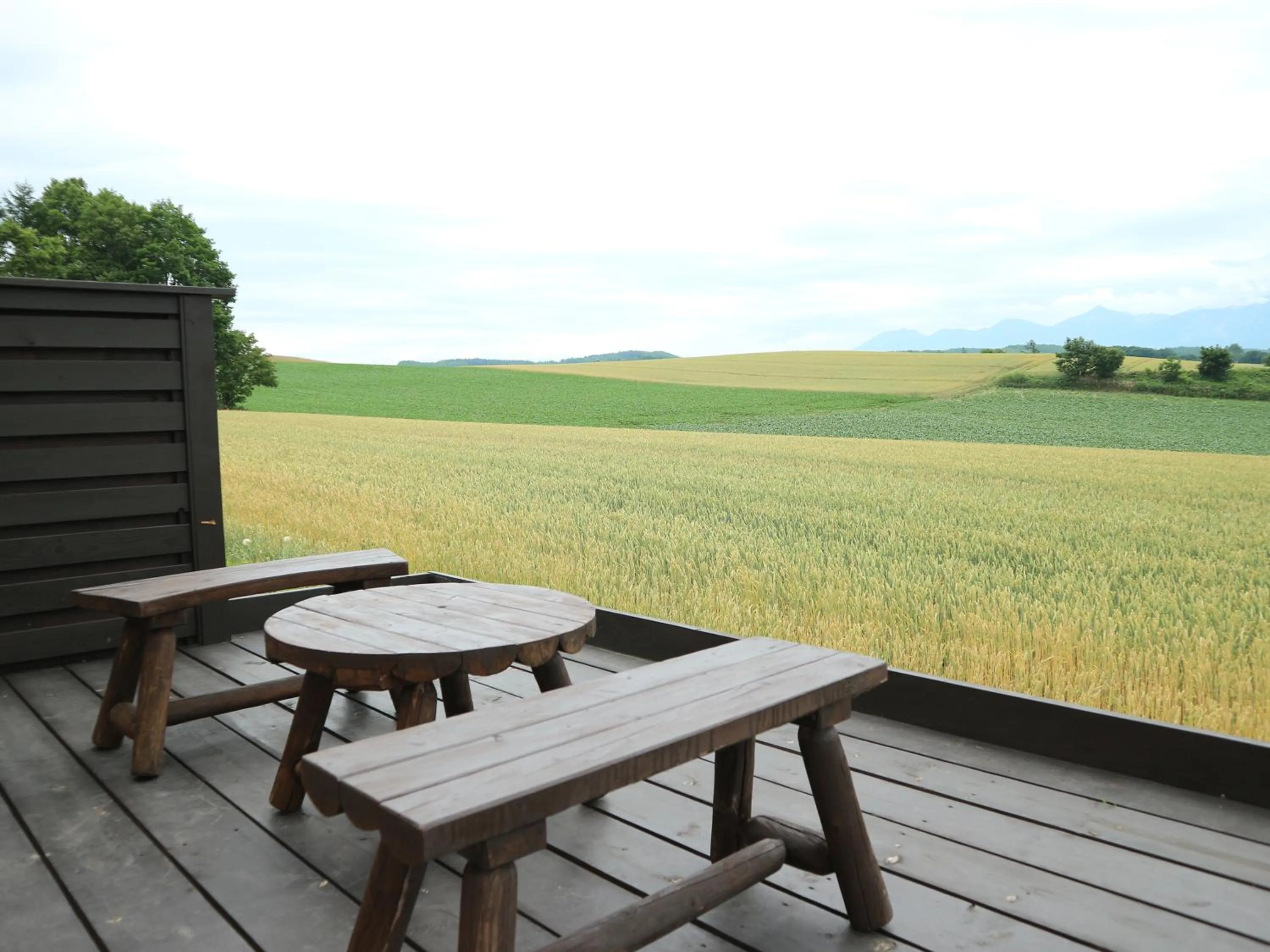 Photo of the whole room in Pension Landscape Furano