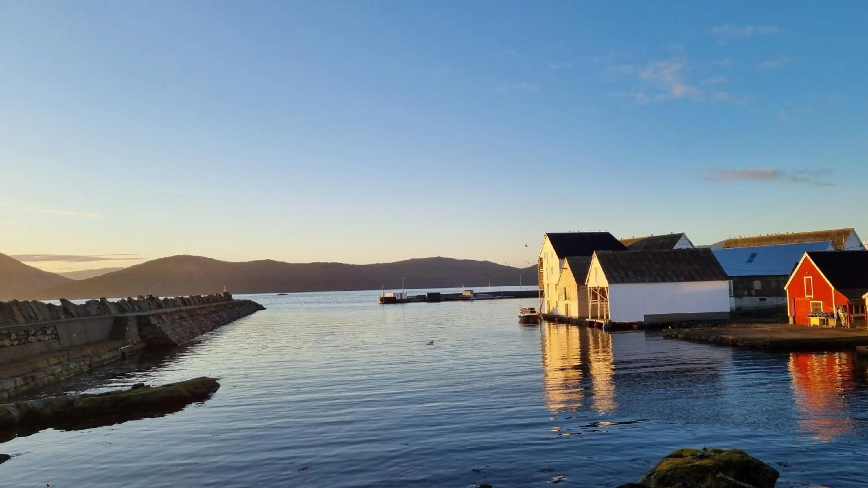 Sea view in Runde Miljøsenter & Opplev Runde