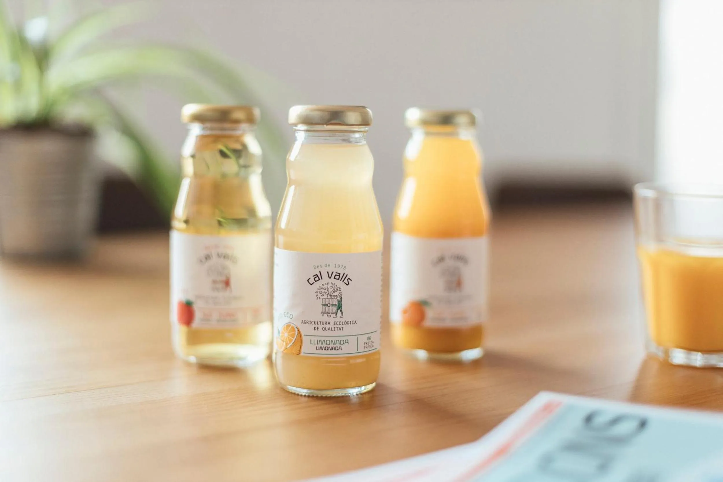 Drinks in Casa Jam Barcelona