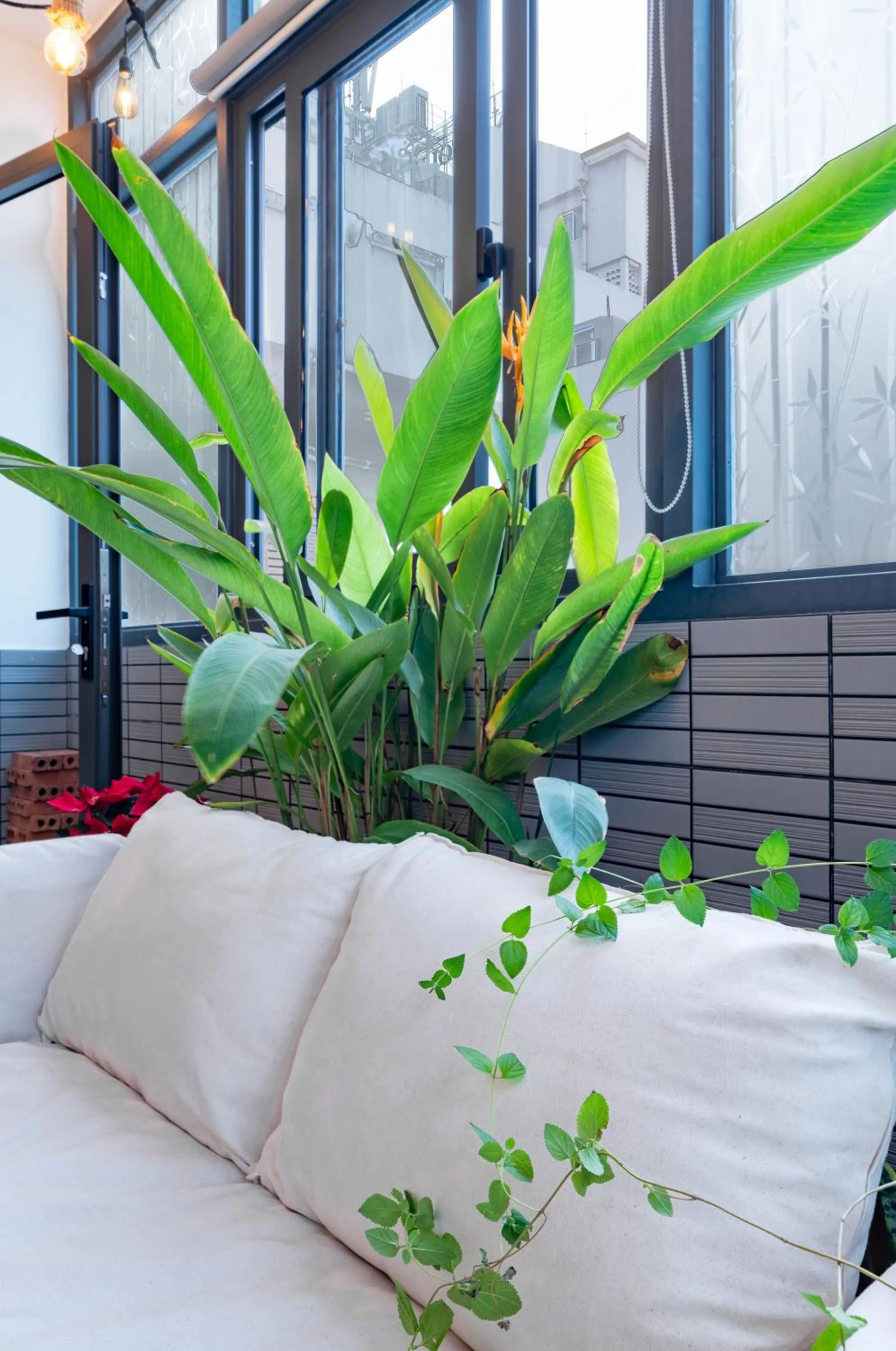 Property building in LalaHouse Spring Apartment - Saigon Center