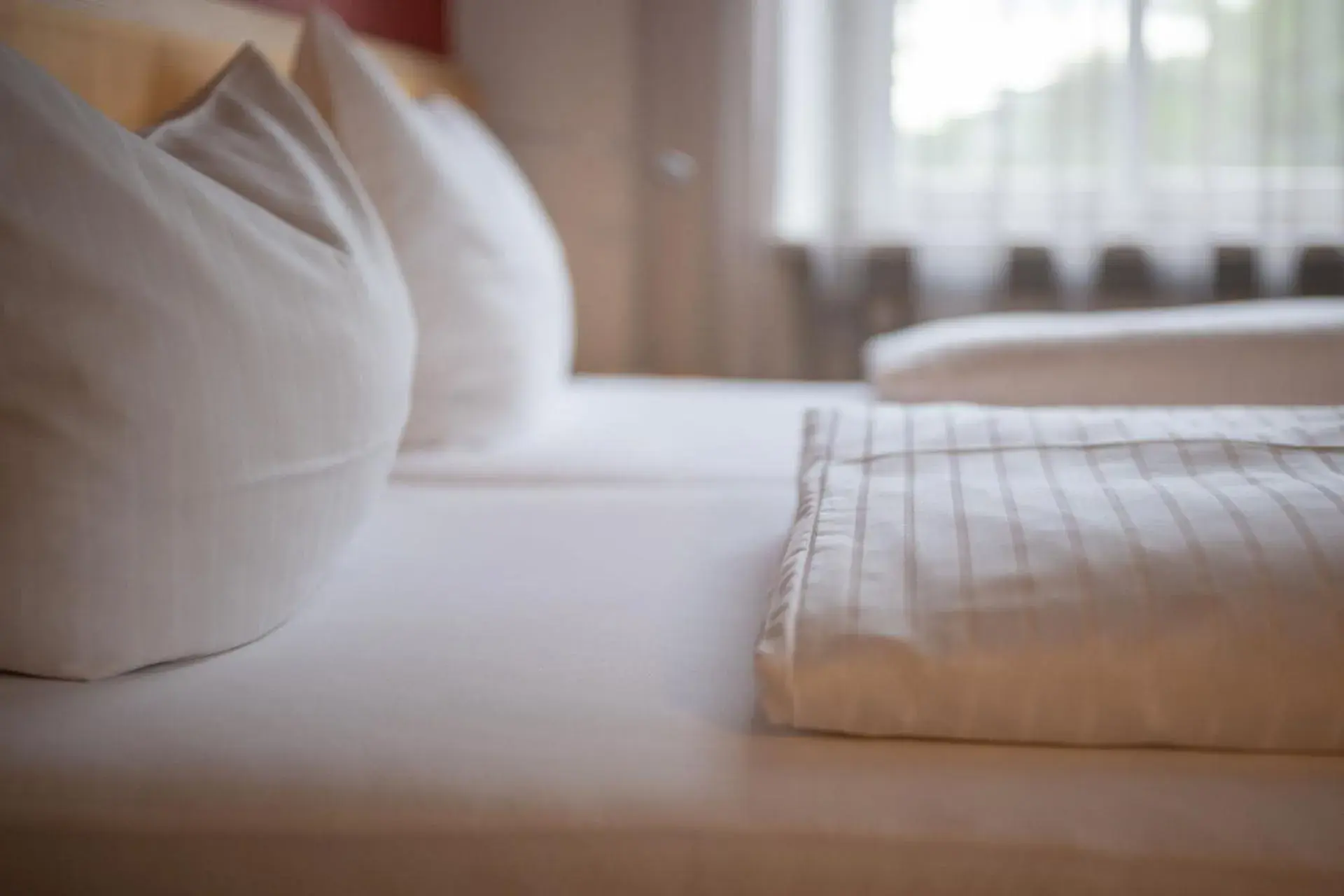 Double Room in Schäfle Feldkirch-Altenstadt Double Room in Schäfle Feldkirch-Altenstadt