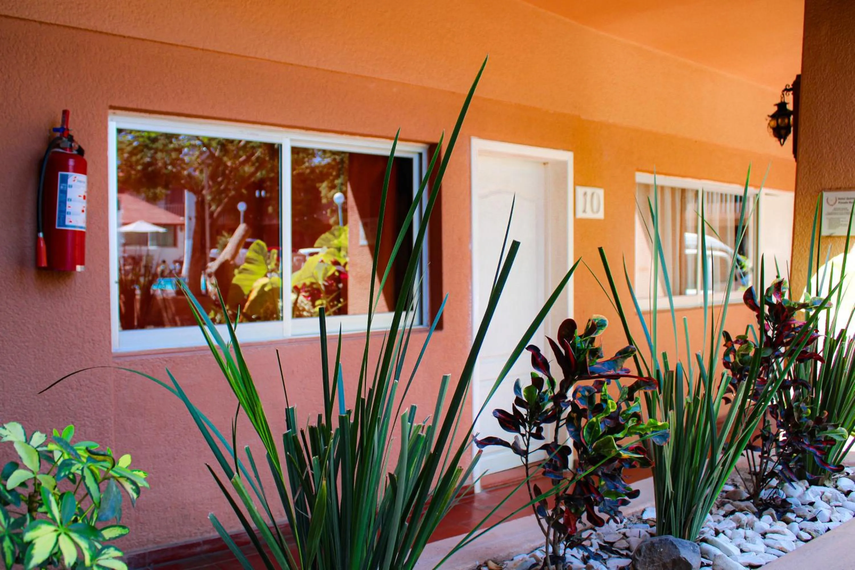 Garden in Hotel La Quinta Posada Real