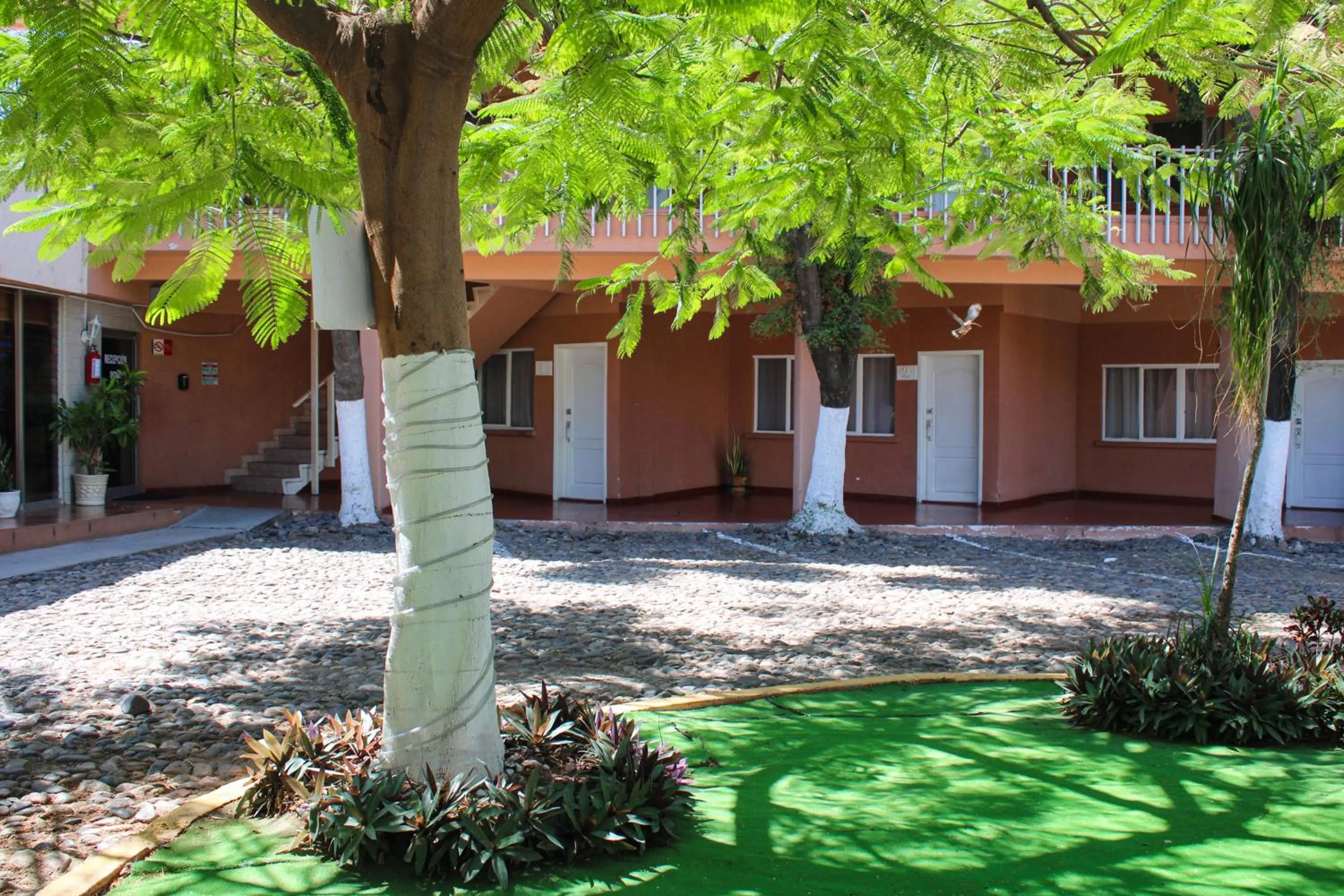 Garden in Hotel La Quinta Posada Real