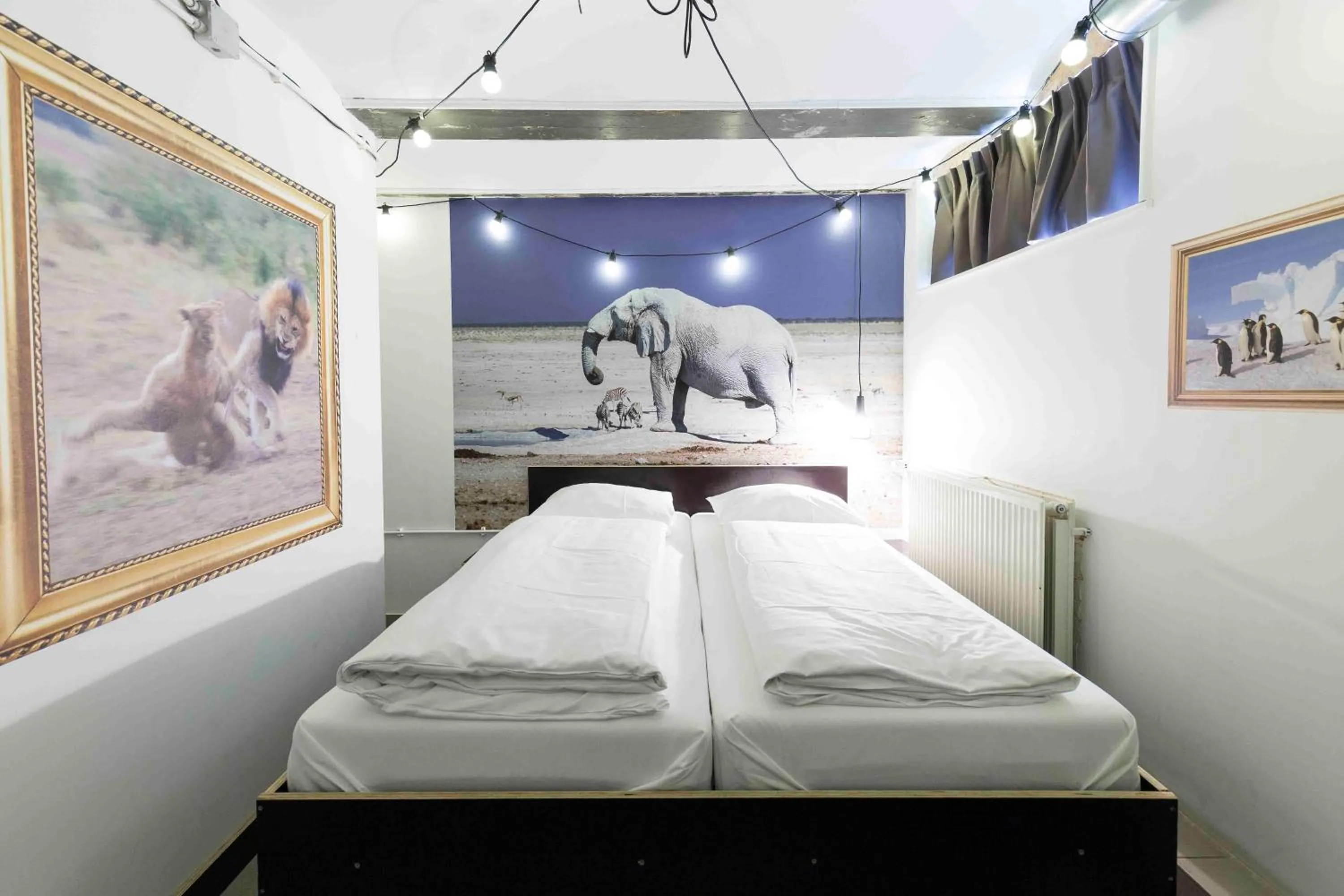 Bed in Kingkool The Hague City Hostel