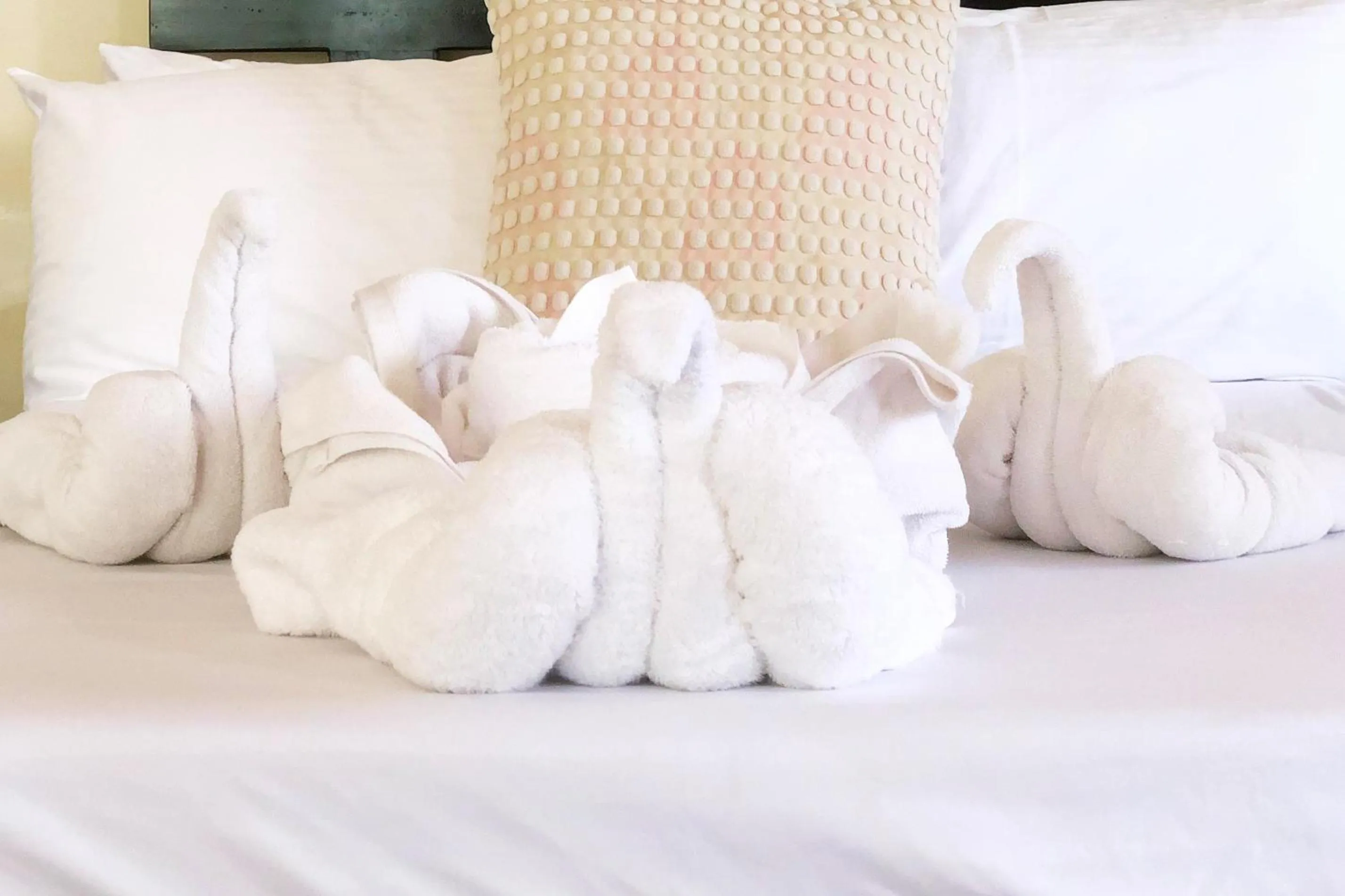 Bed in Torres Farm Resort powered by Cocotel