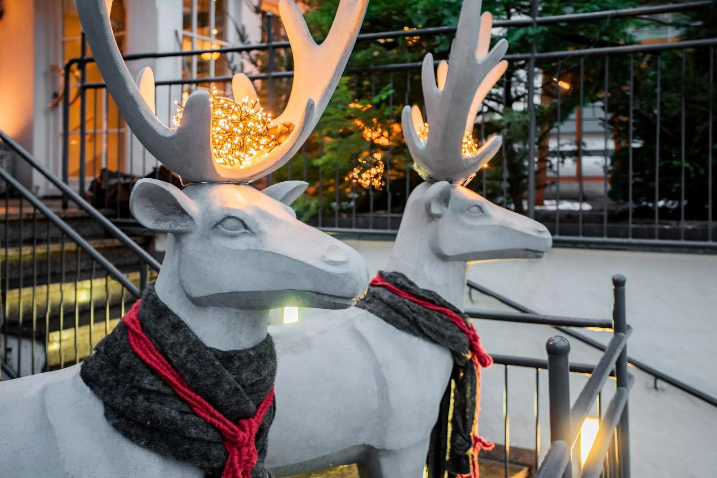 Restaurant/places to eat in Bodenseehotel Renn