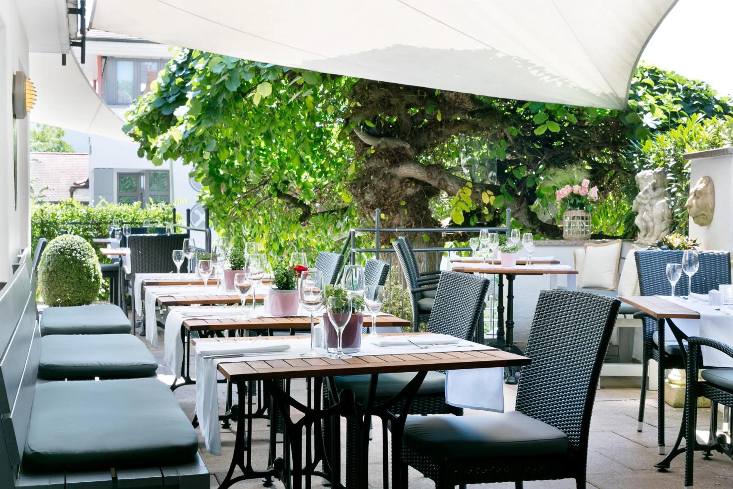 Restaurant/places to eat in Bodenseehotel Renn