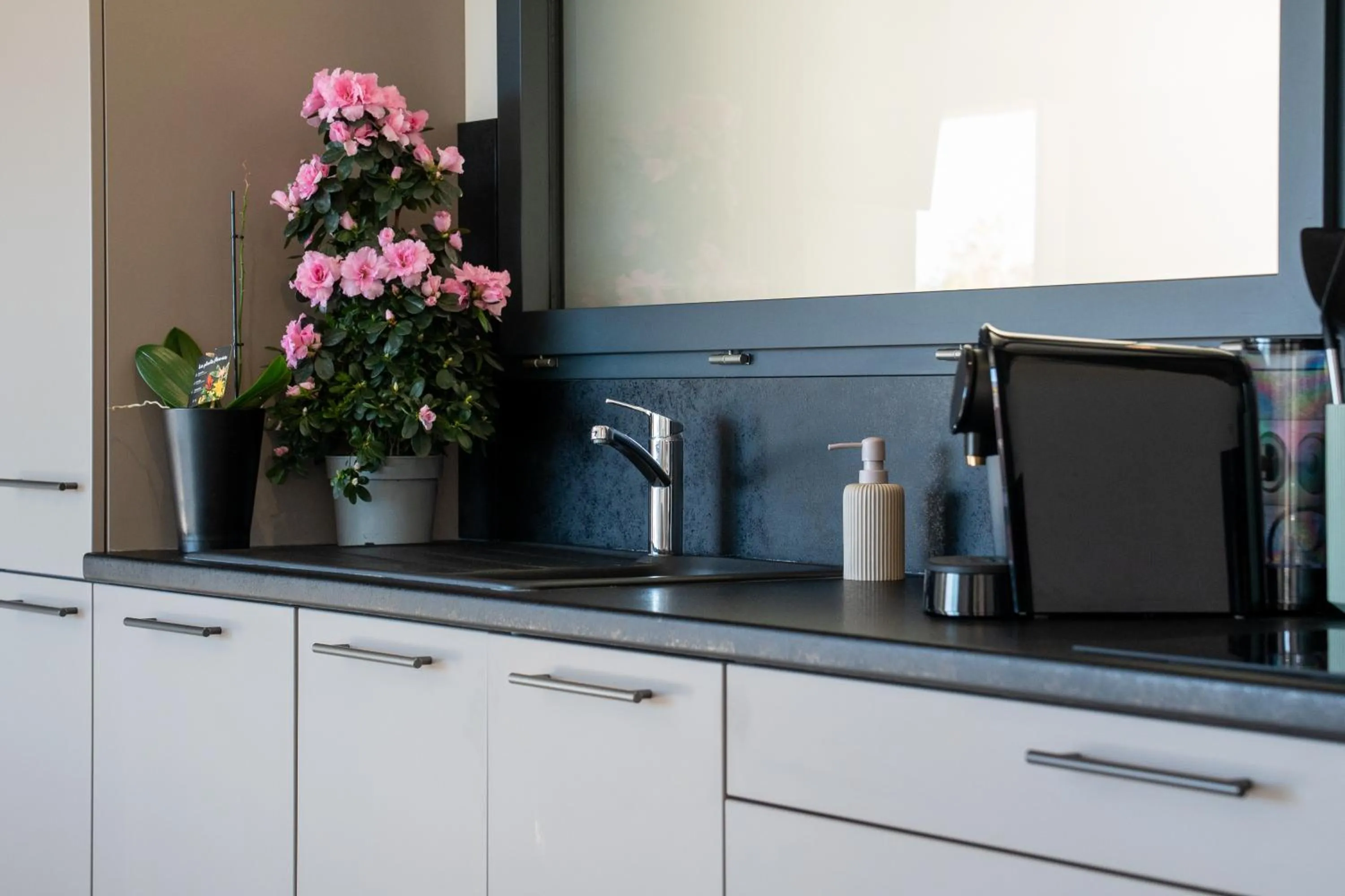 Kitchen or kitchenette in Les Restanques du lac