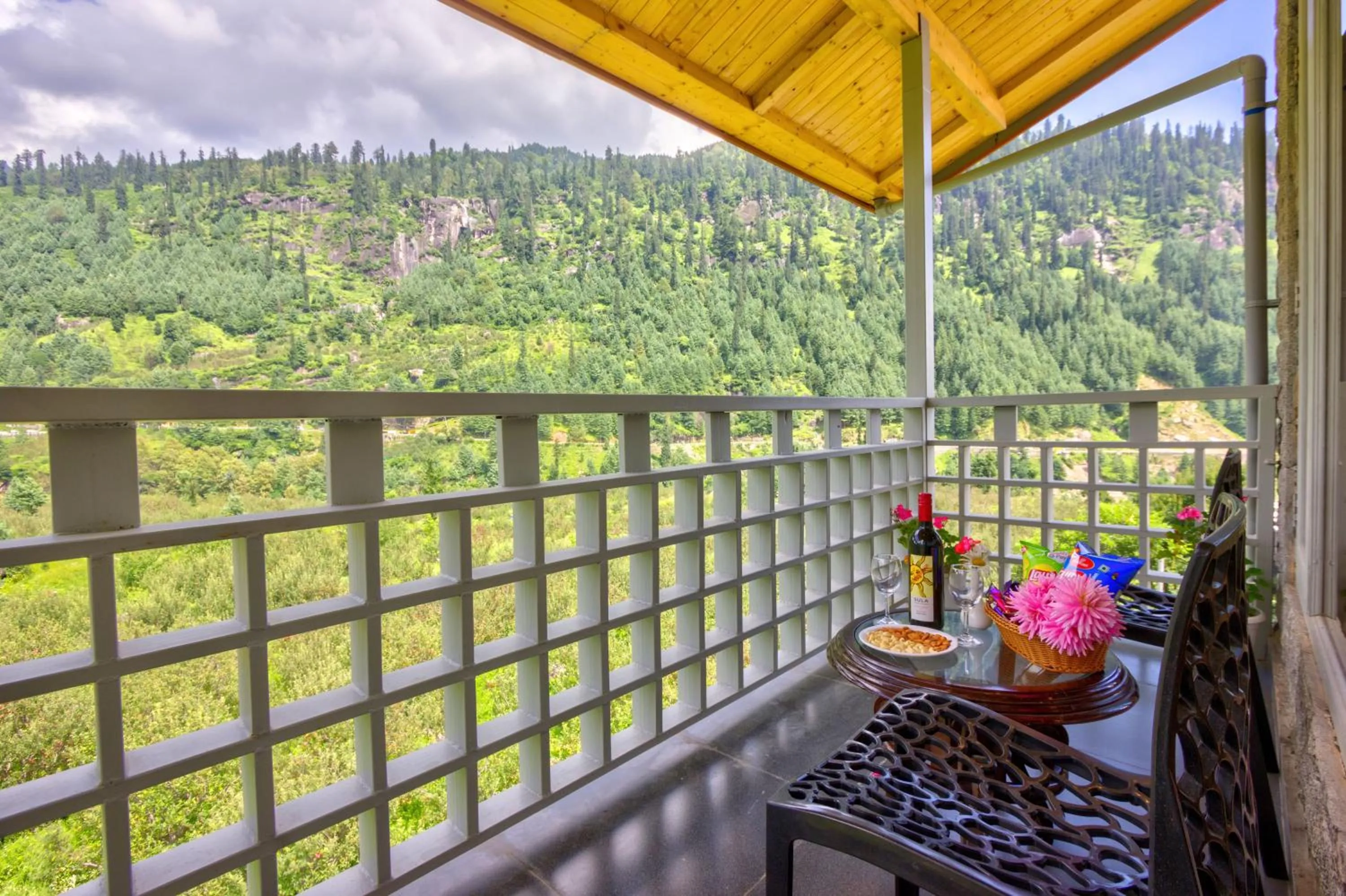 Day in La Aero Resort Home in Snow Mountains