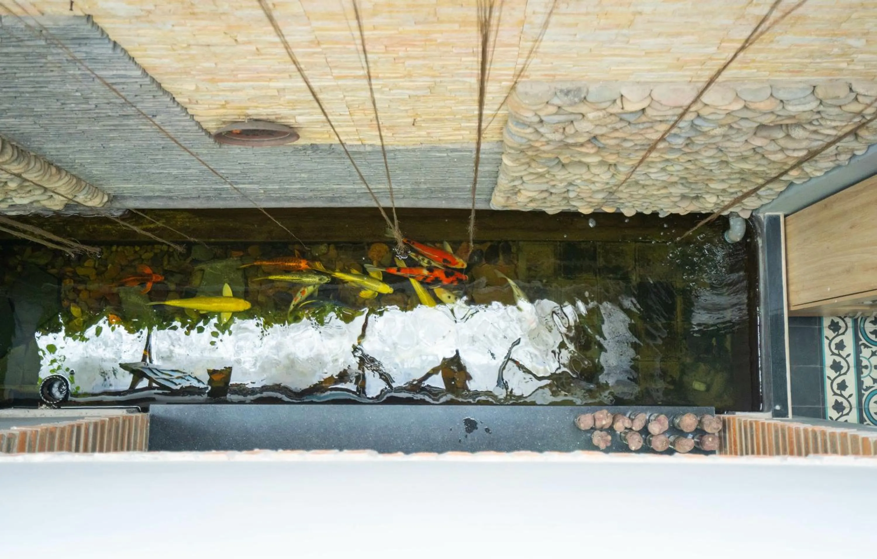 View (from property/room) in Tâm Family Homestay-Huế