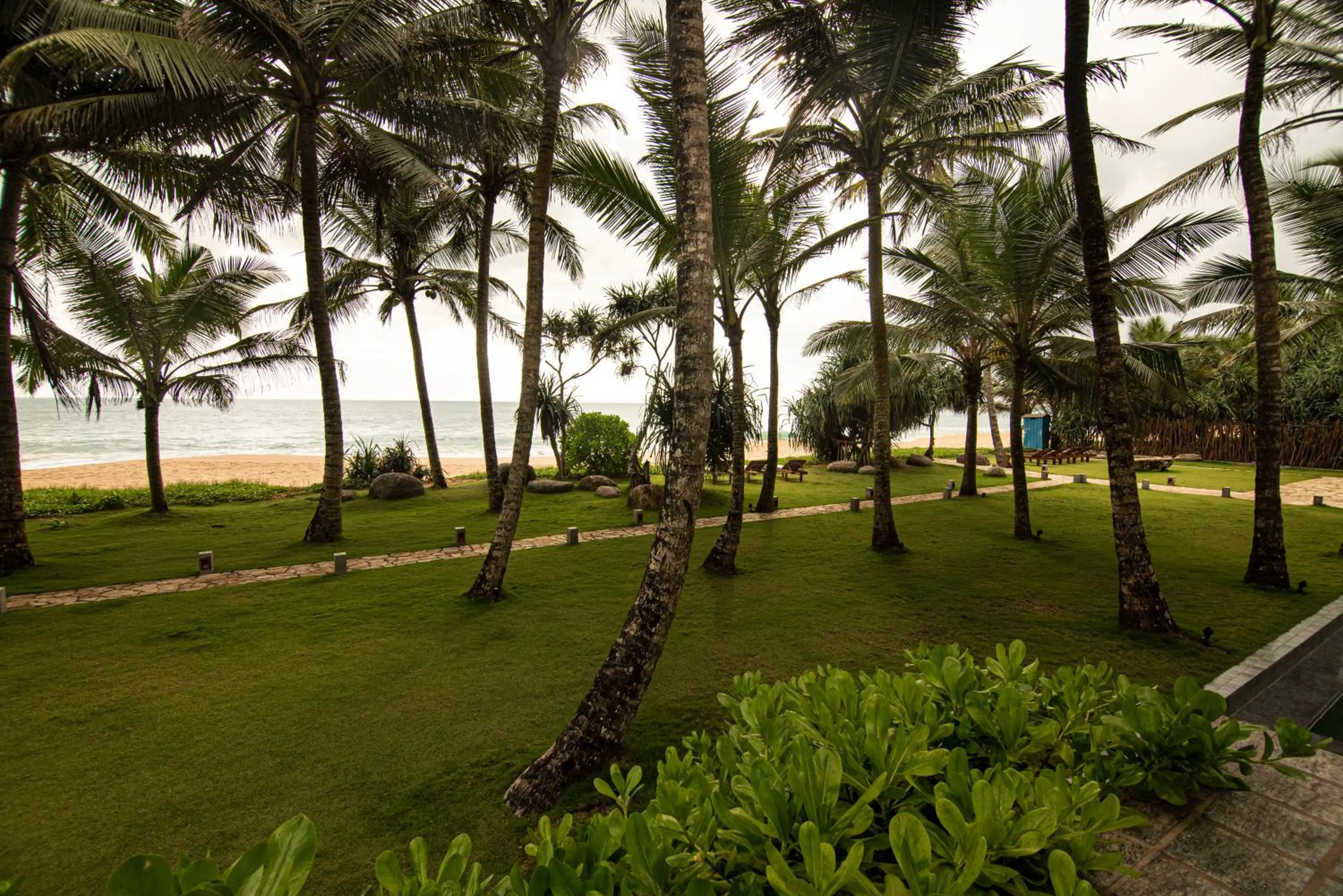 Garden in The Rockwall Boutique Hotel Bentota