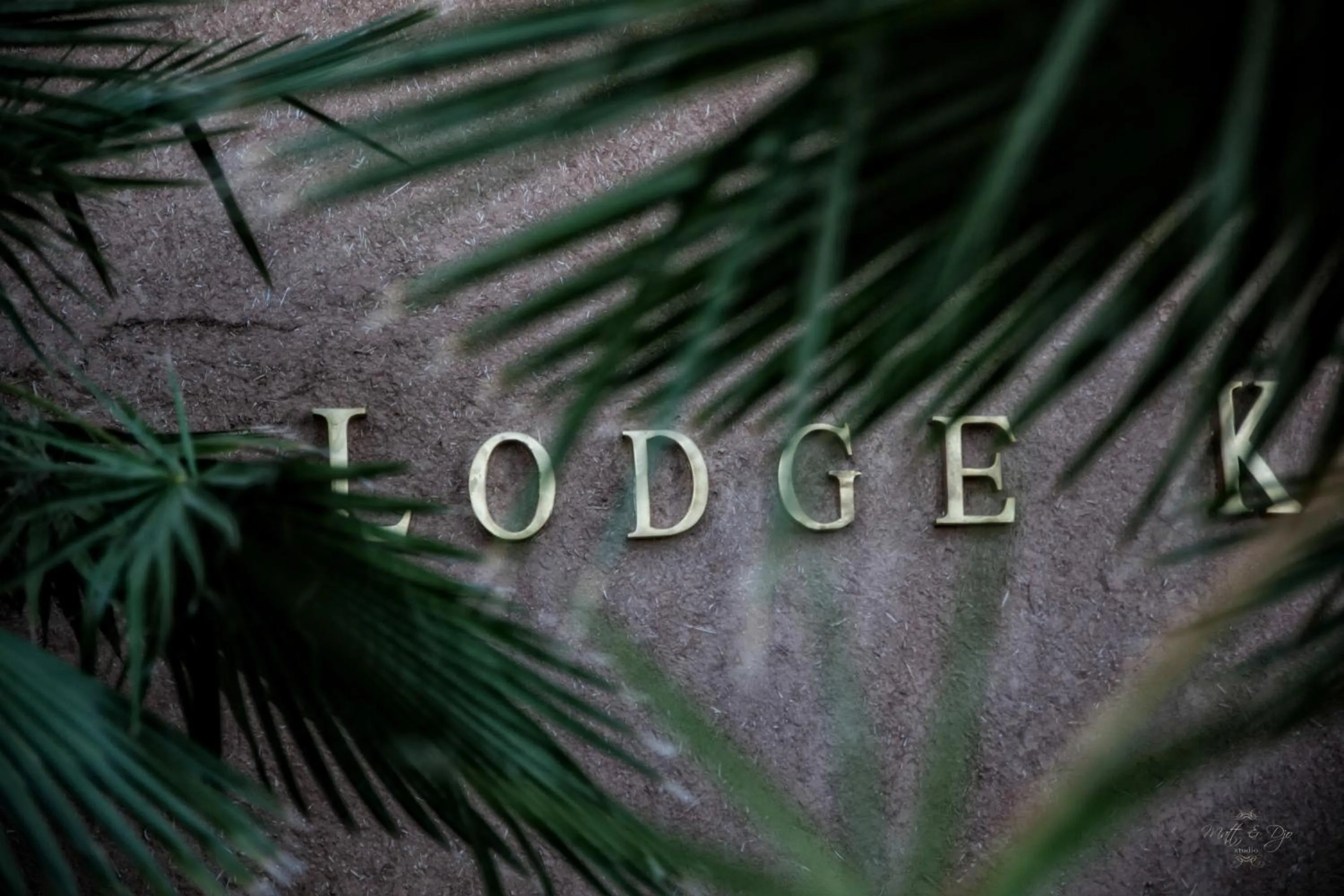 Decorative detail in Lodge K