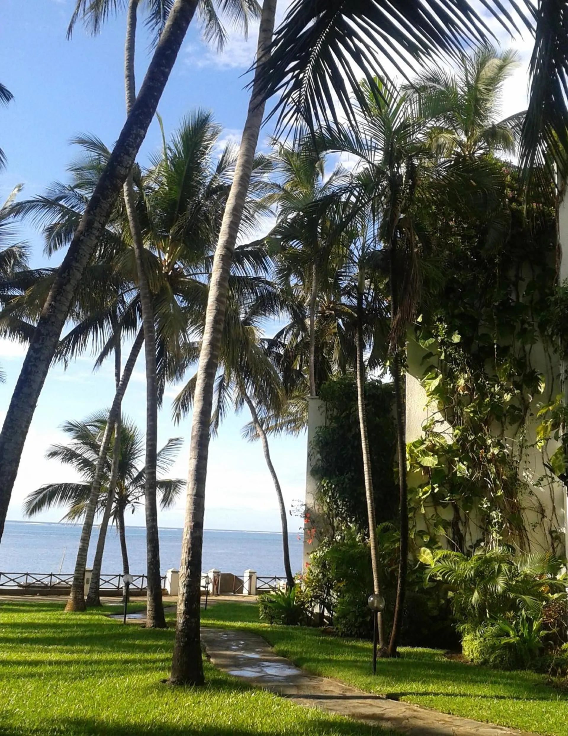 Garden in Plaza Beach Hotel