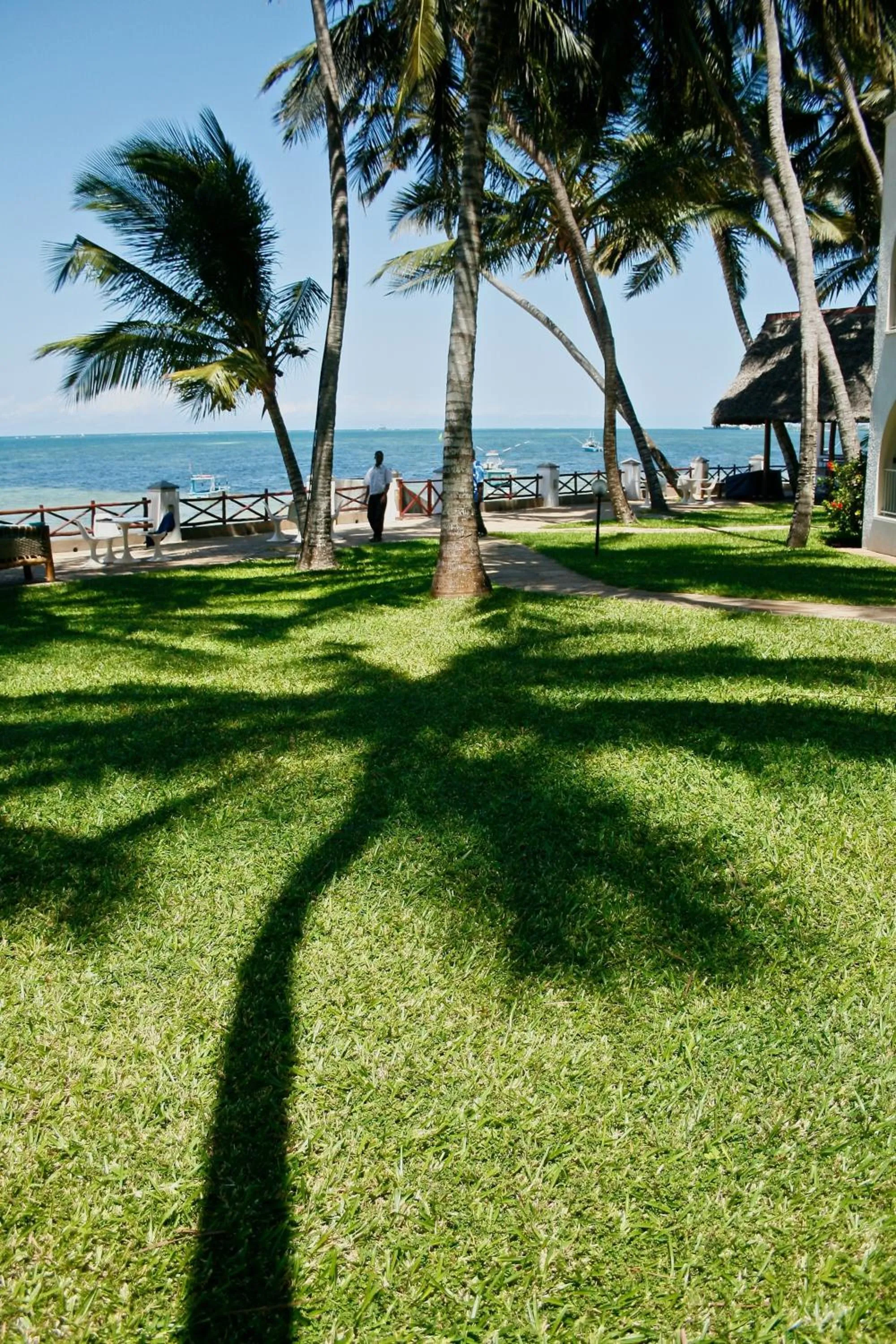 Garden in Plaza Beach Hotel