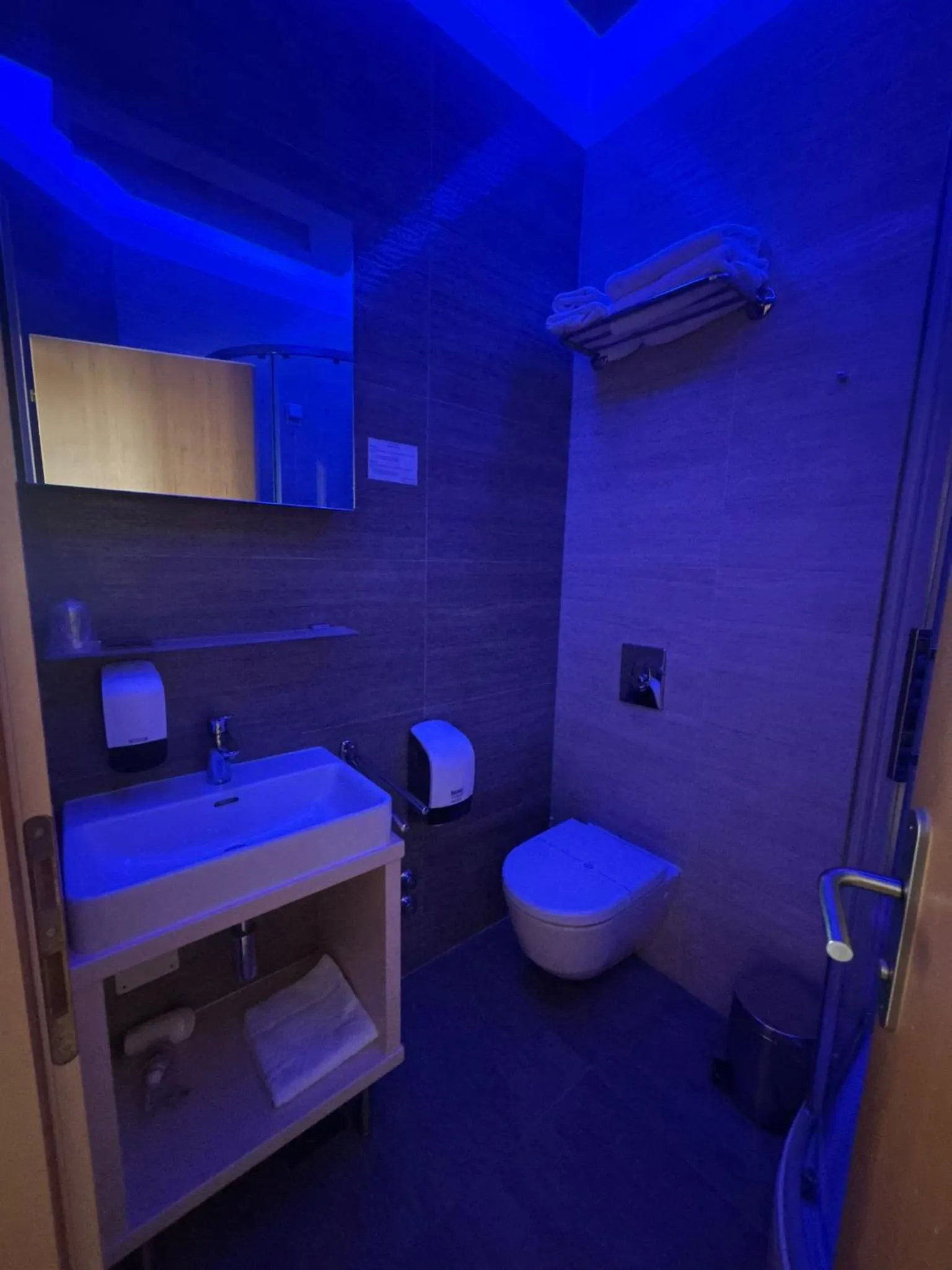 Toilet in Hotel Gallus