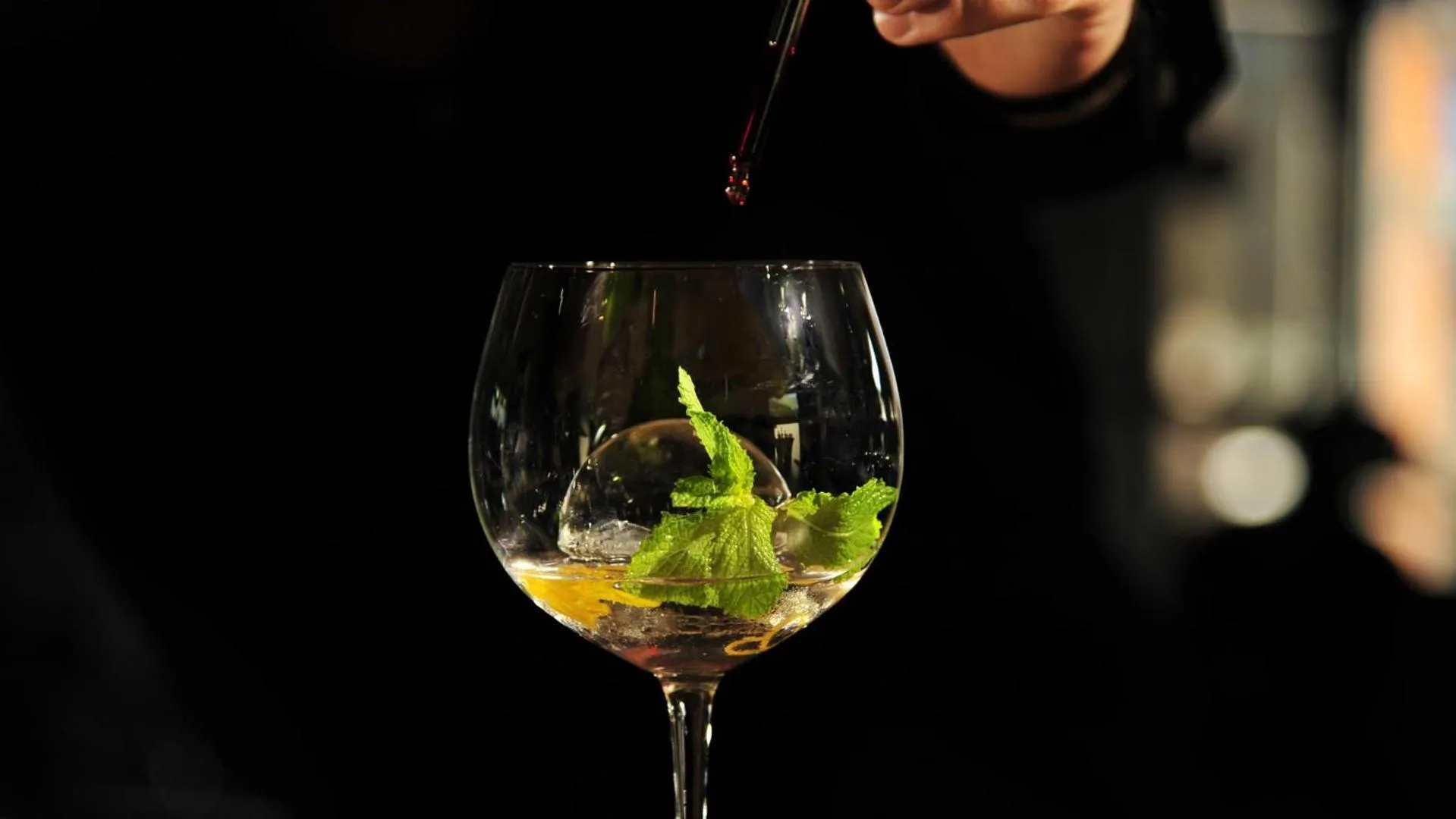 Lounge or bar in Alps Lodge