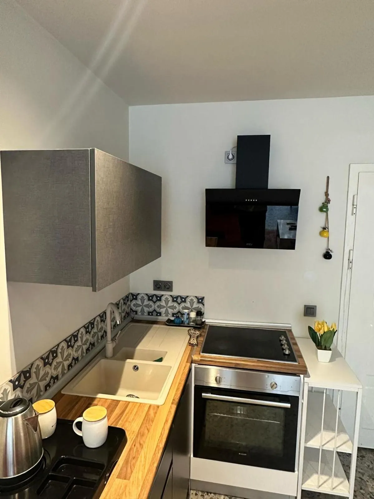 Kitchen or kitchenette in Wolf Suites