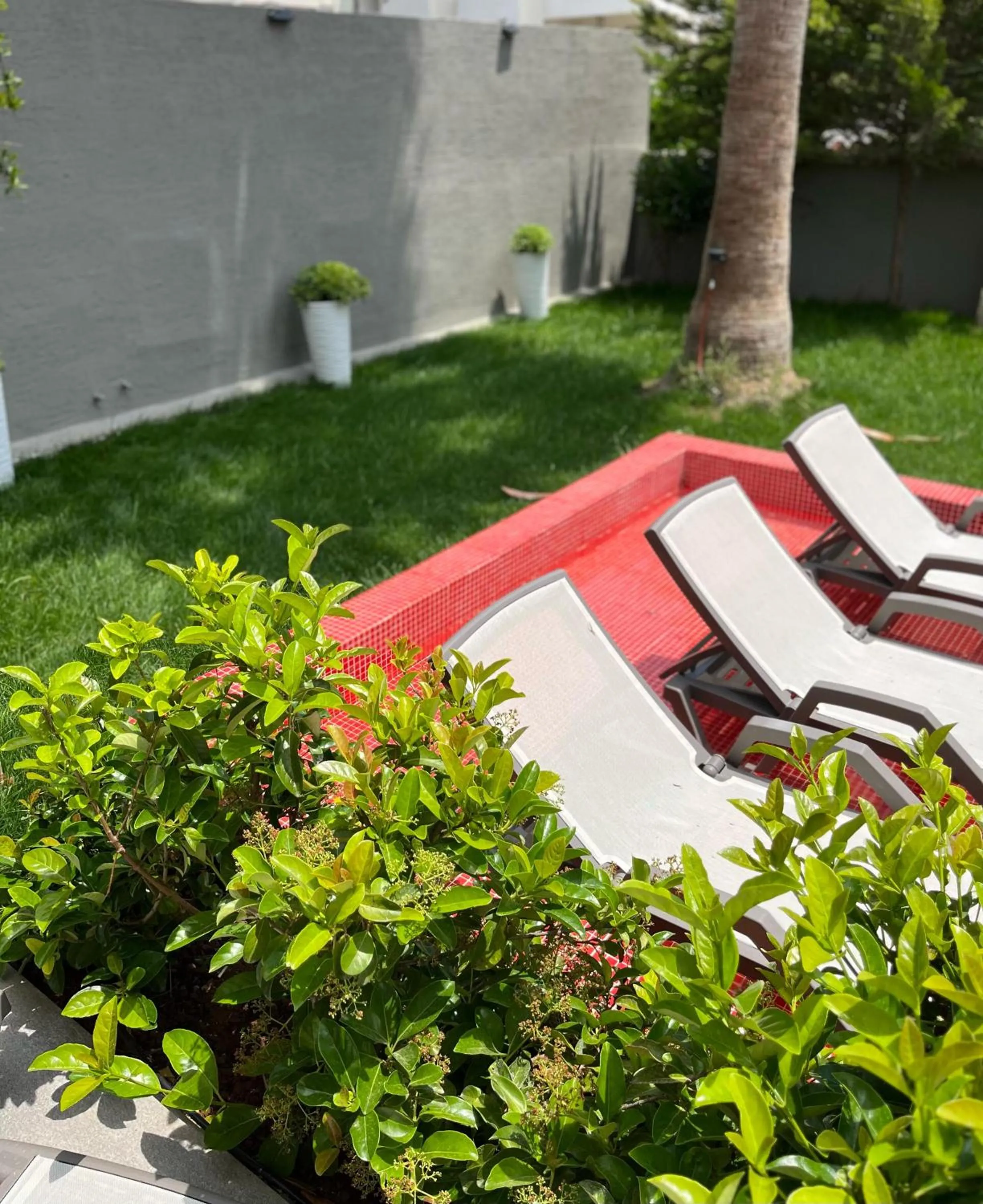 Garden in Wolf Suites