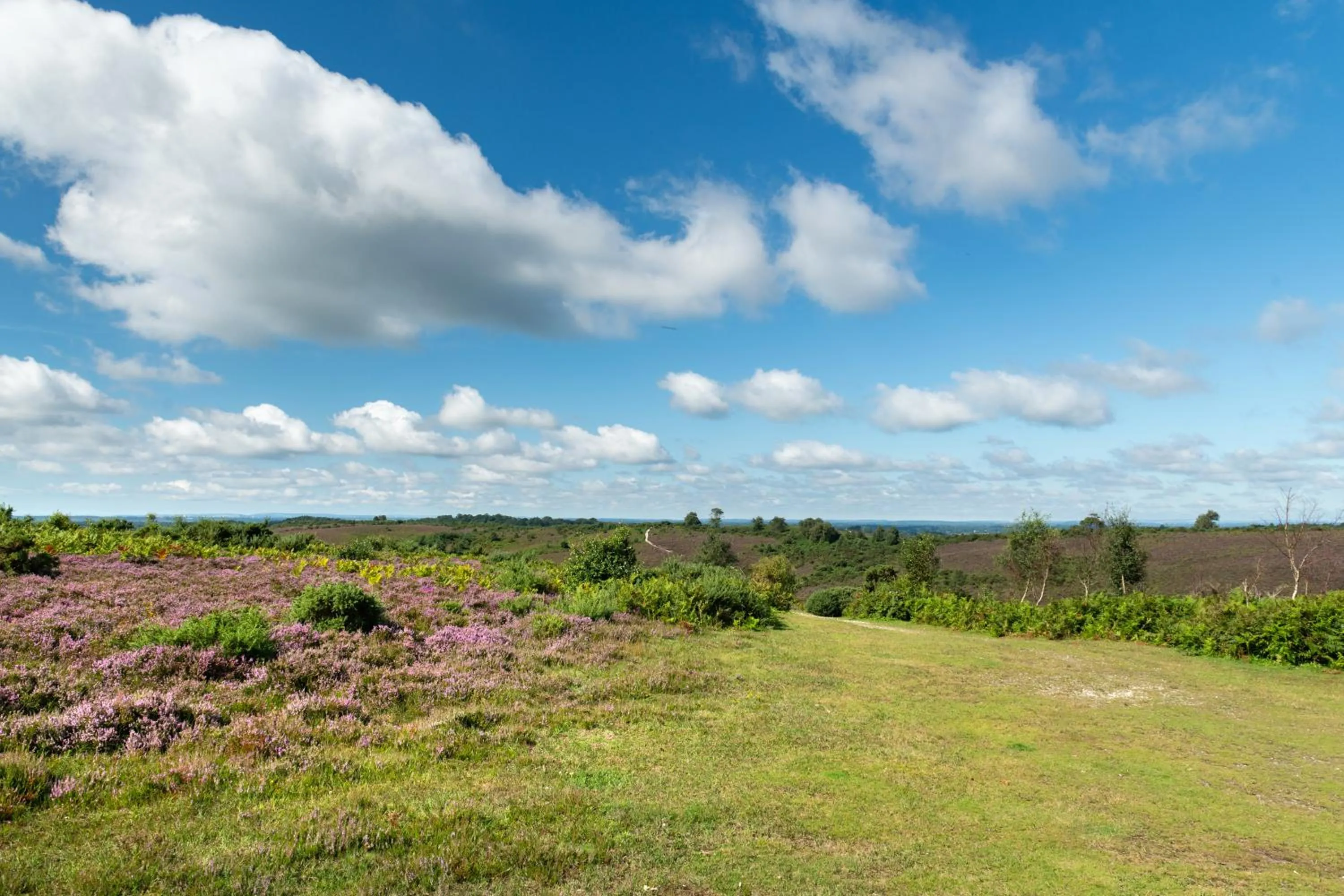Other in Forest Lodge Hotel