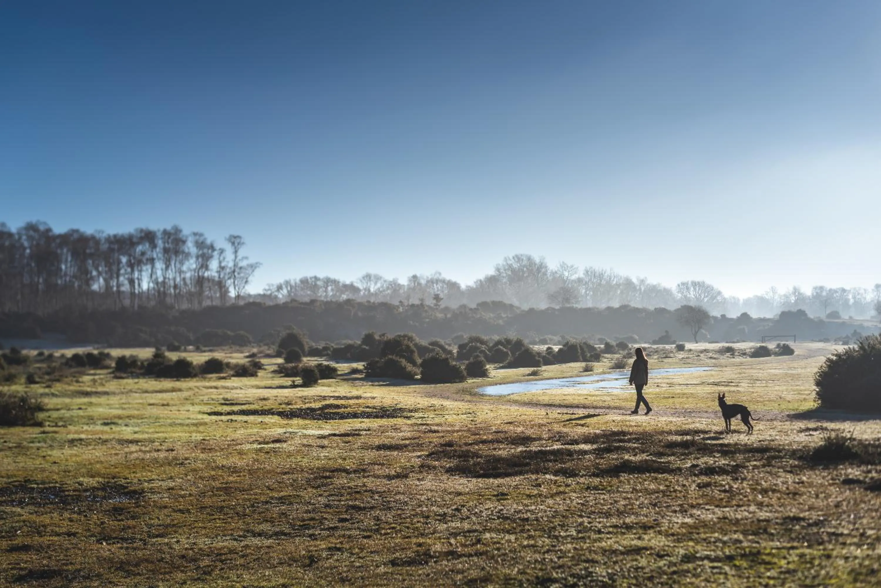 Other in Forest Lodge Hotel