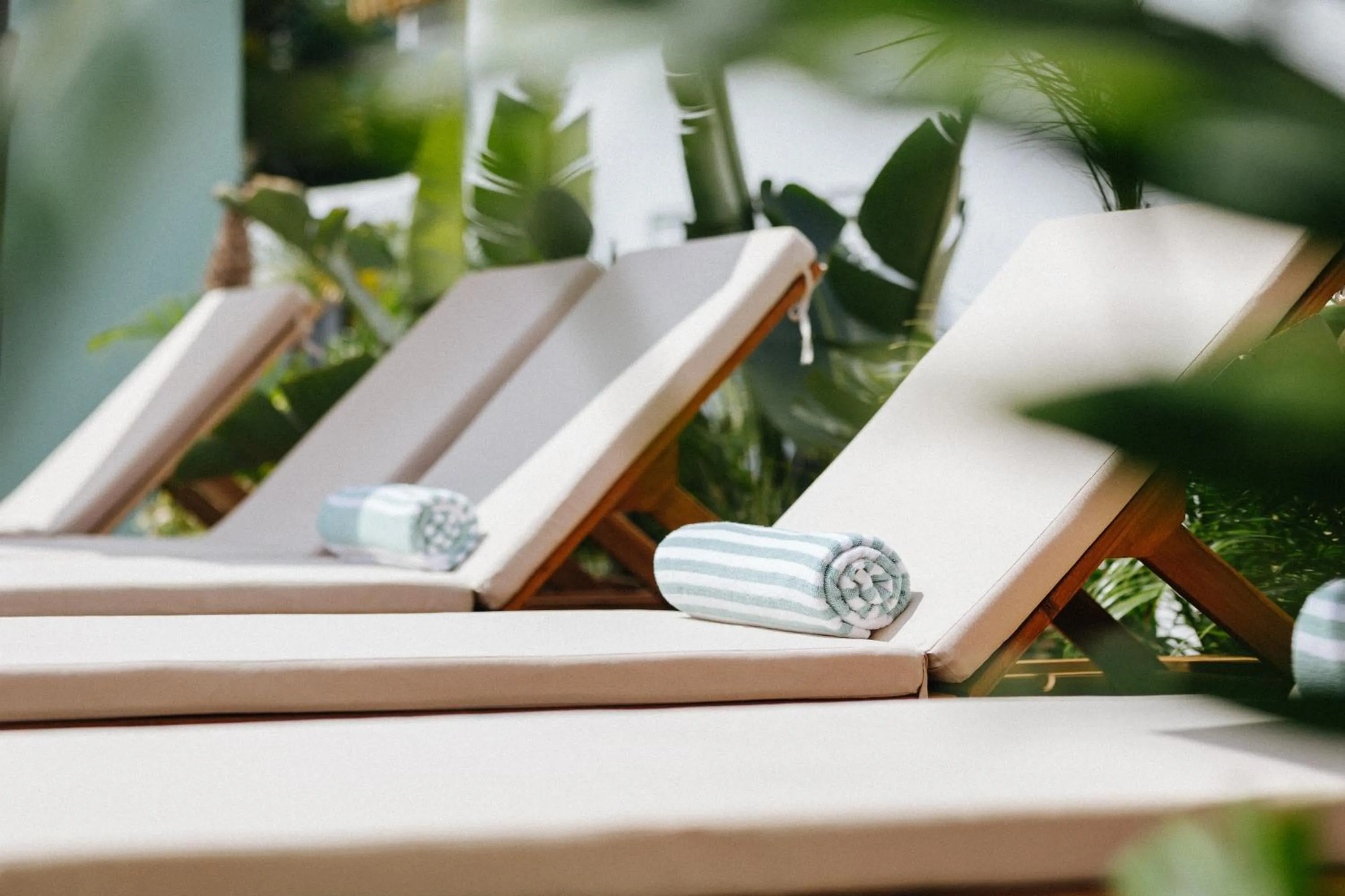 Day in Pietermaai Oasis