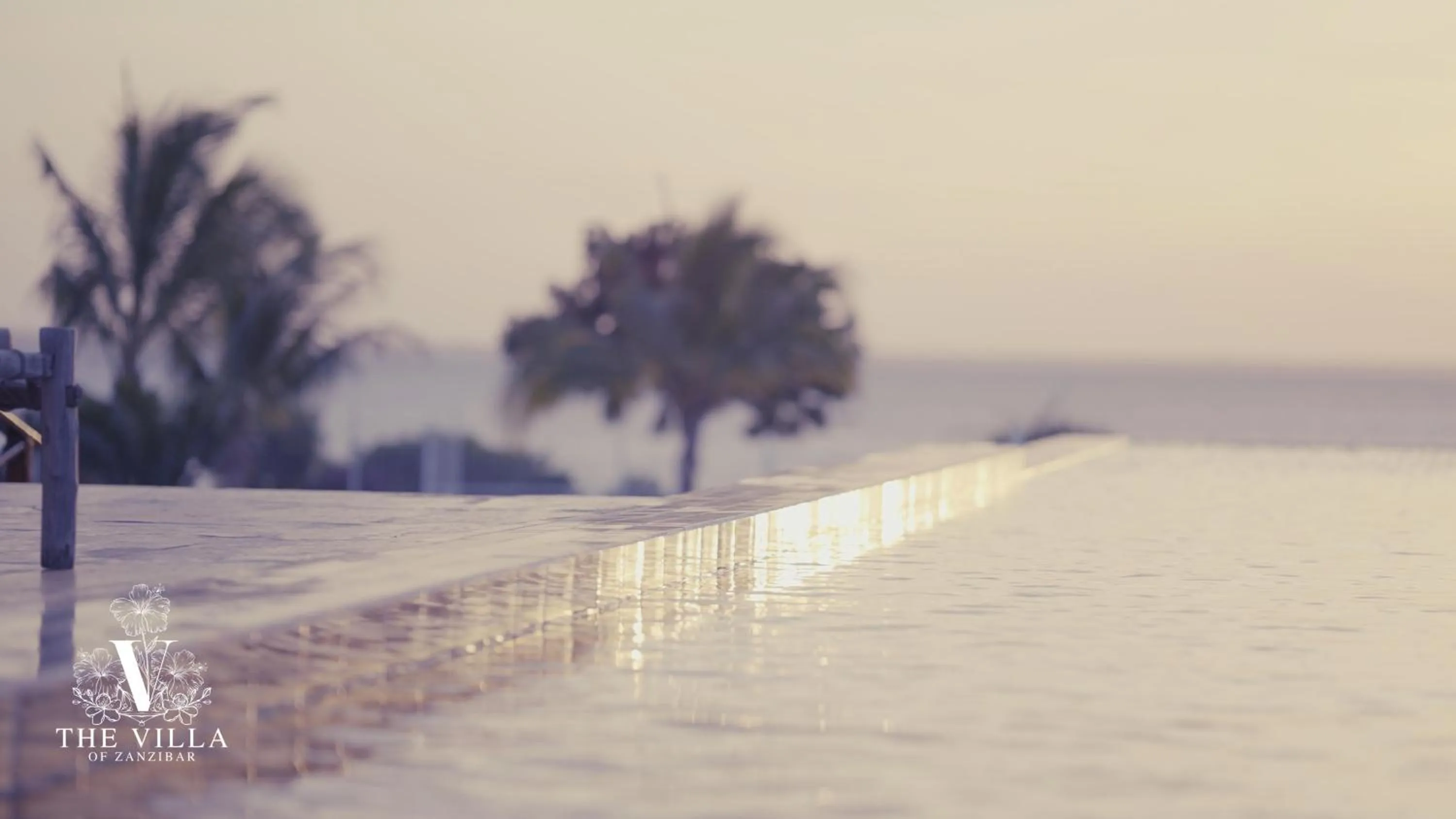 Pool view in The Villa of Zanzibar