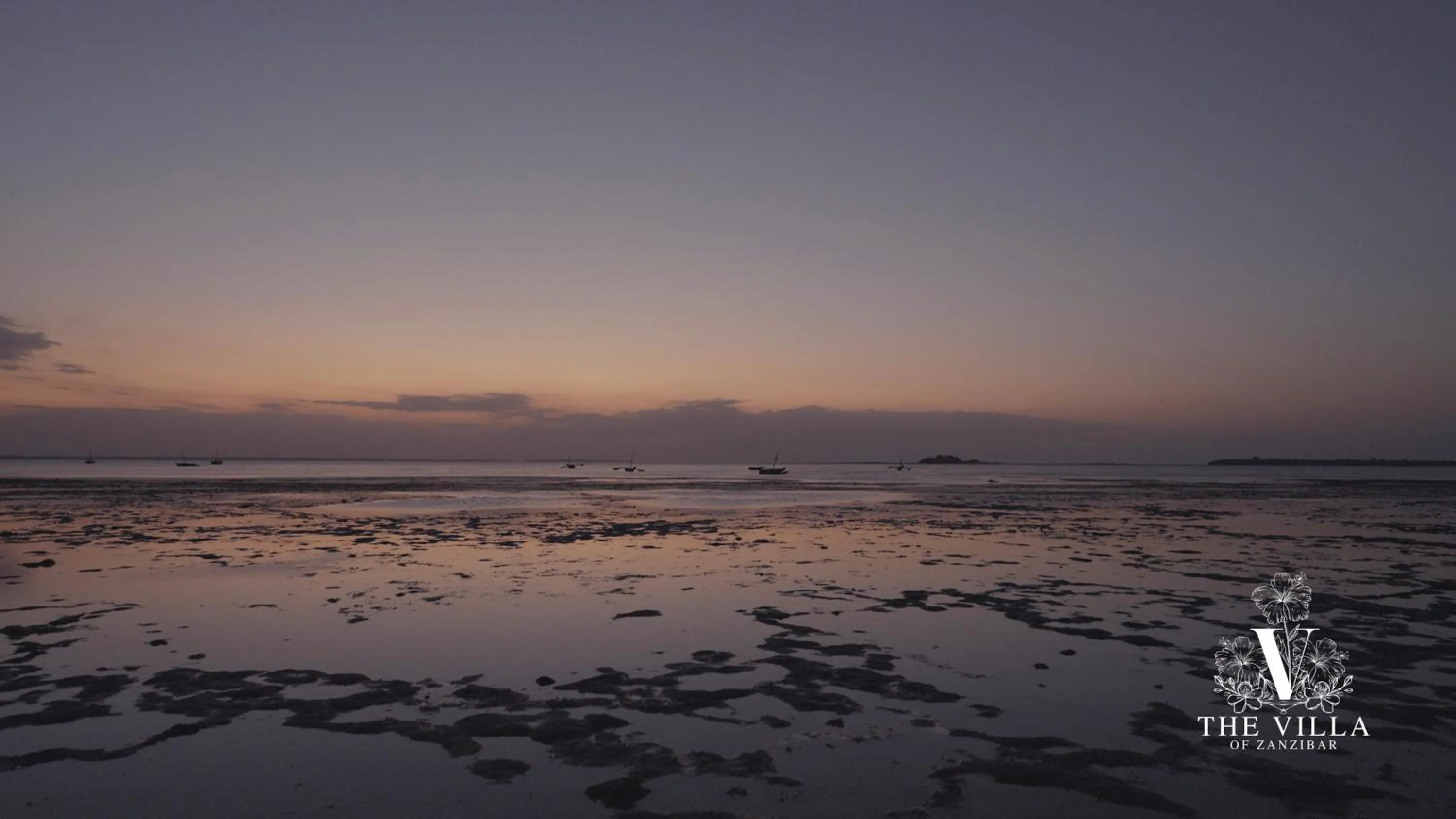 The Villa of Zanzibar