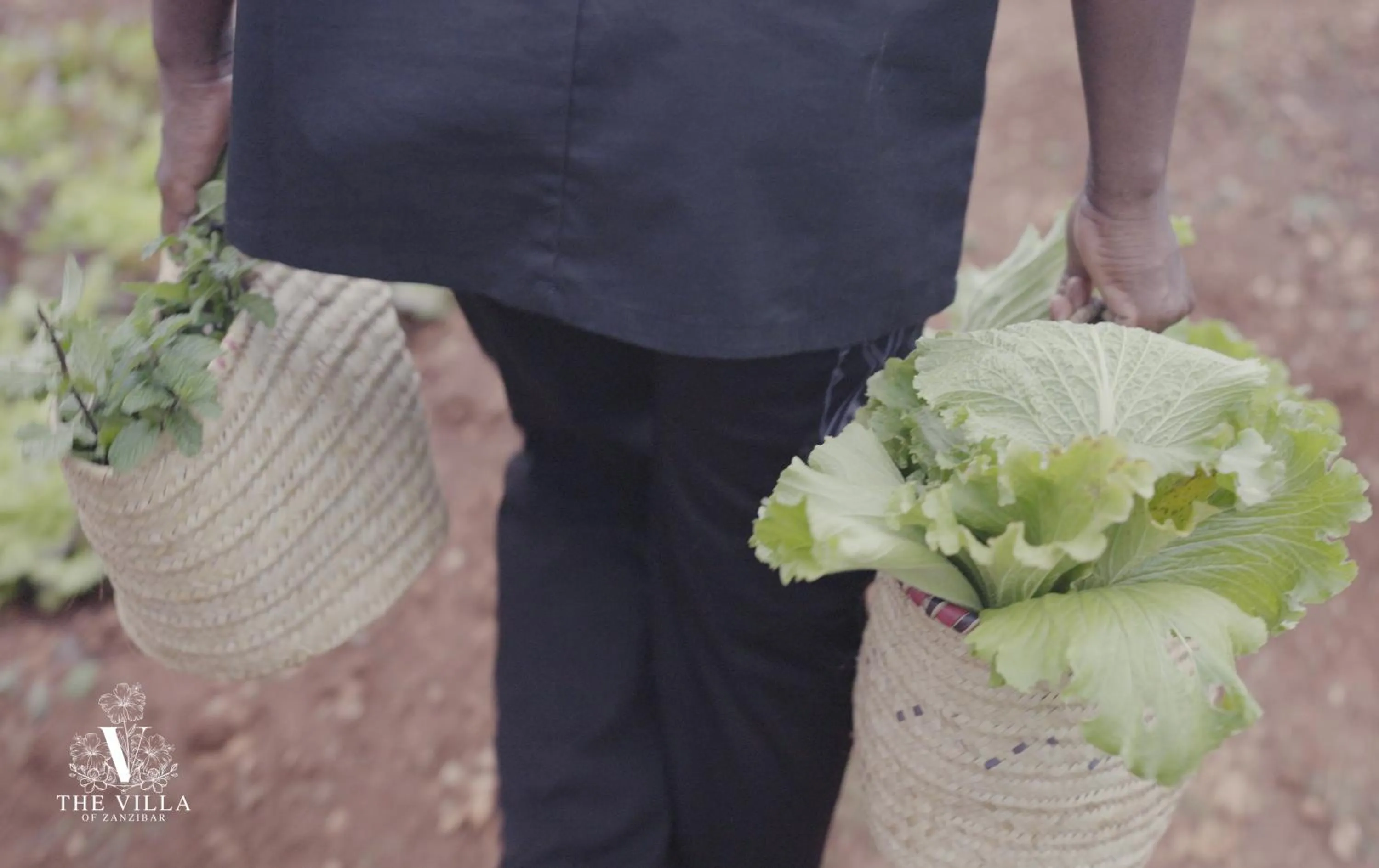 The Villa of Zanzibar