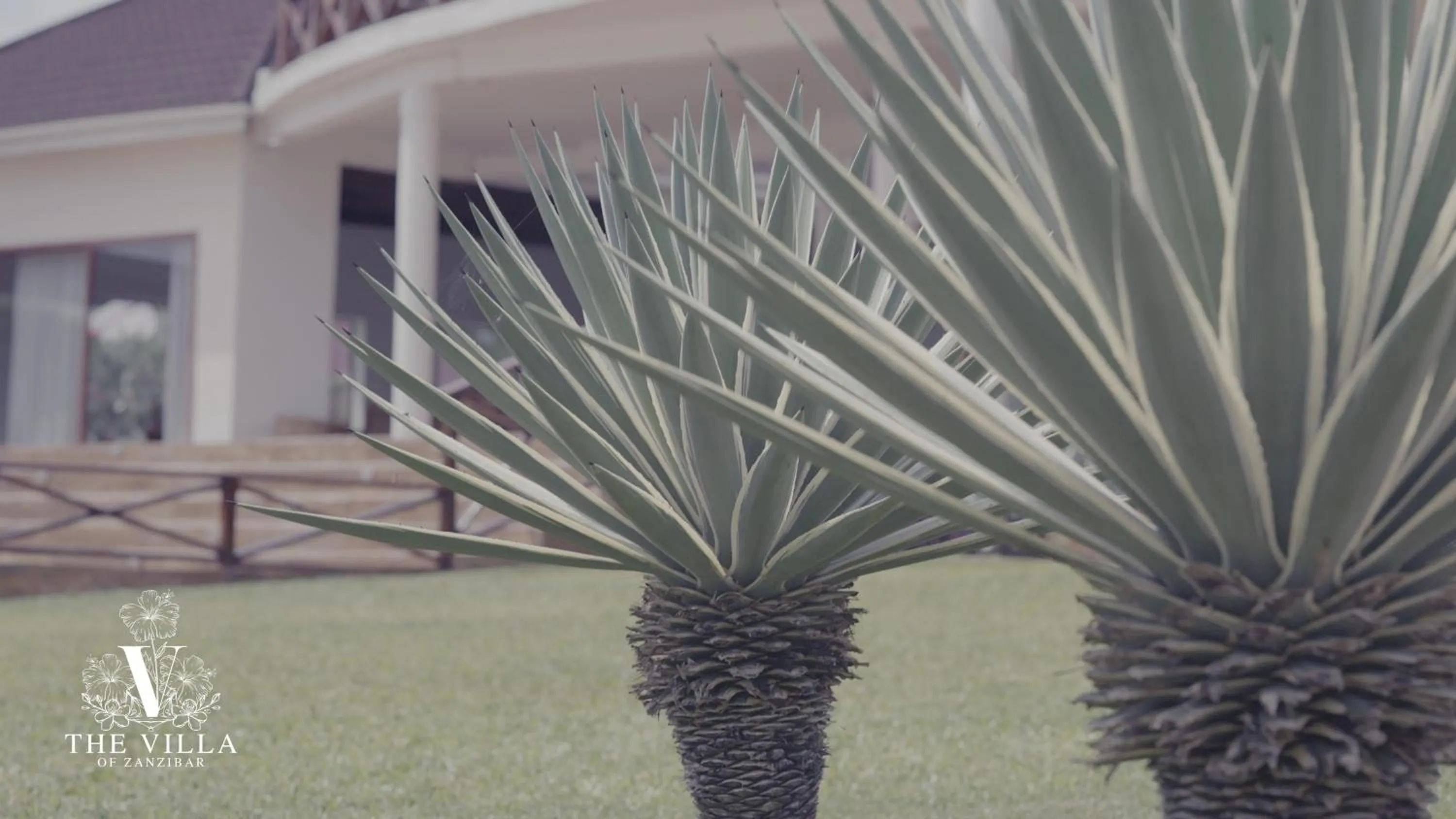 Garden in The Villa of Zanzibar